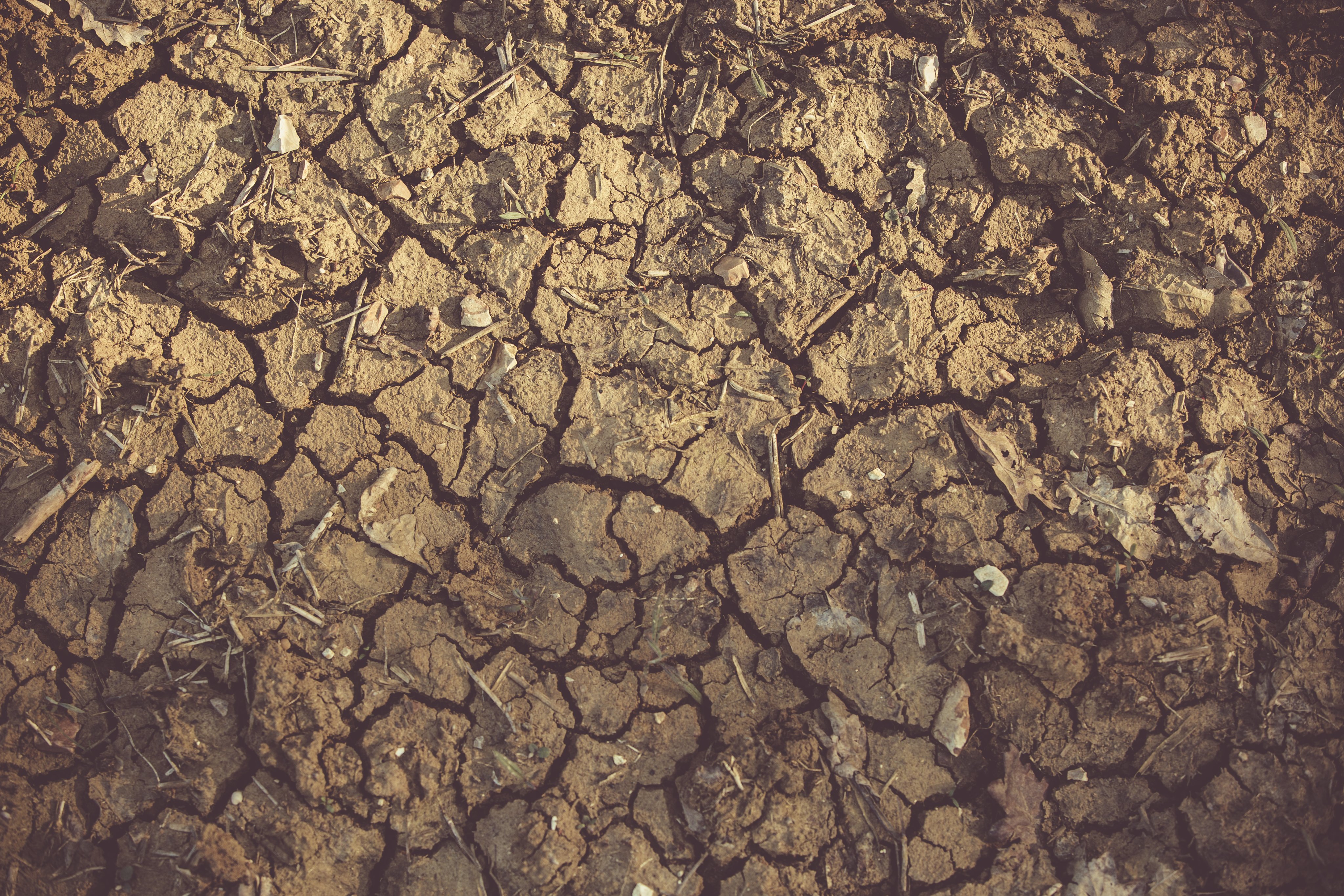 WTO Found That The Number Of Undernourished People In Drought Prone Countries Has Increased By 45.6% Since 2012. Keeping Agri Food Trade Open Is A Key Response To Drought &