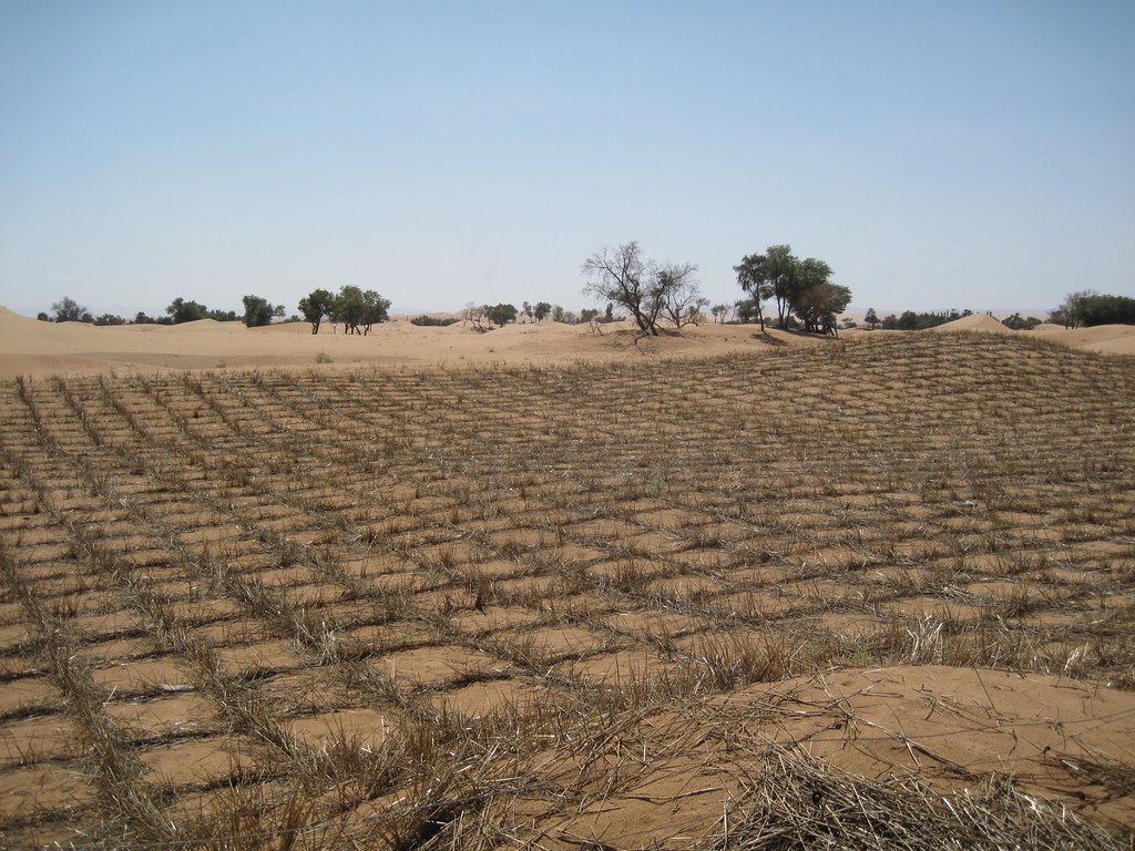 Preventing desertification. Bert van Dijk