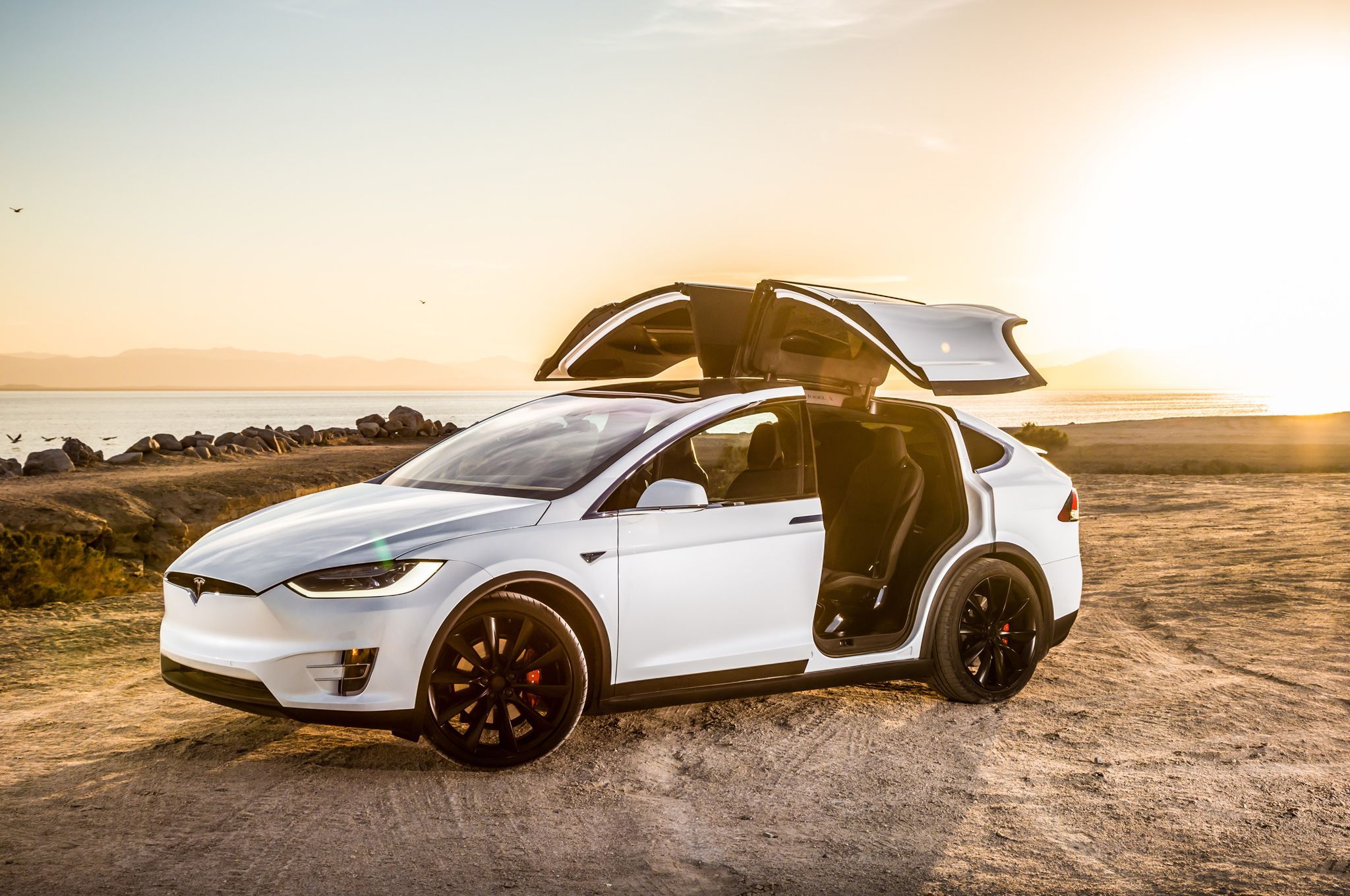 Model X Wallpaper
