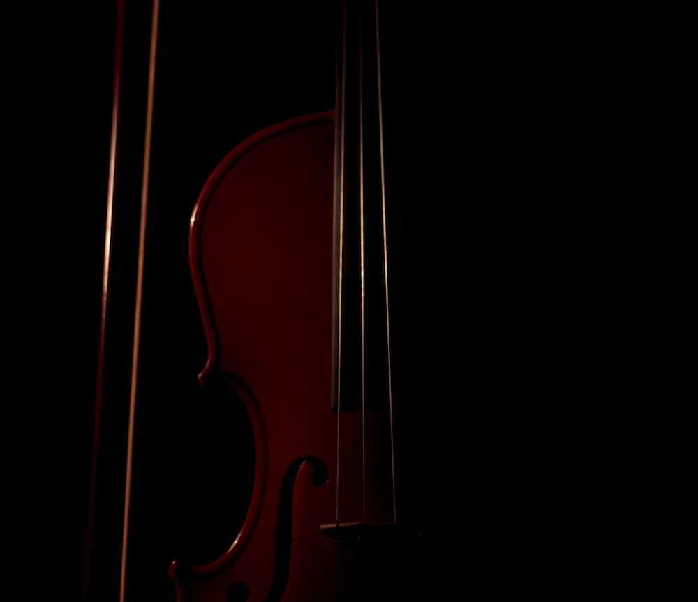 brown violin on black background photo