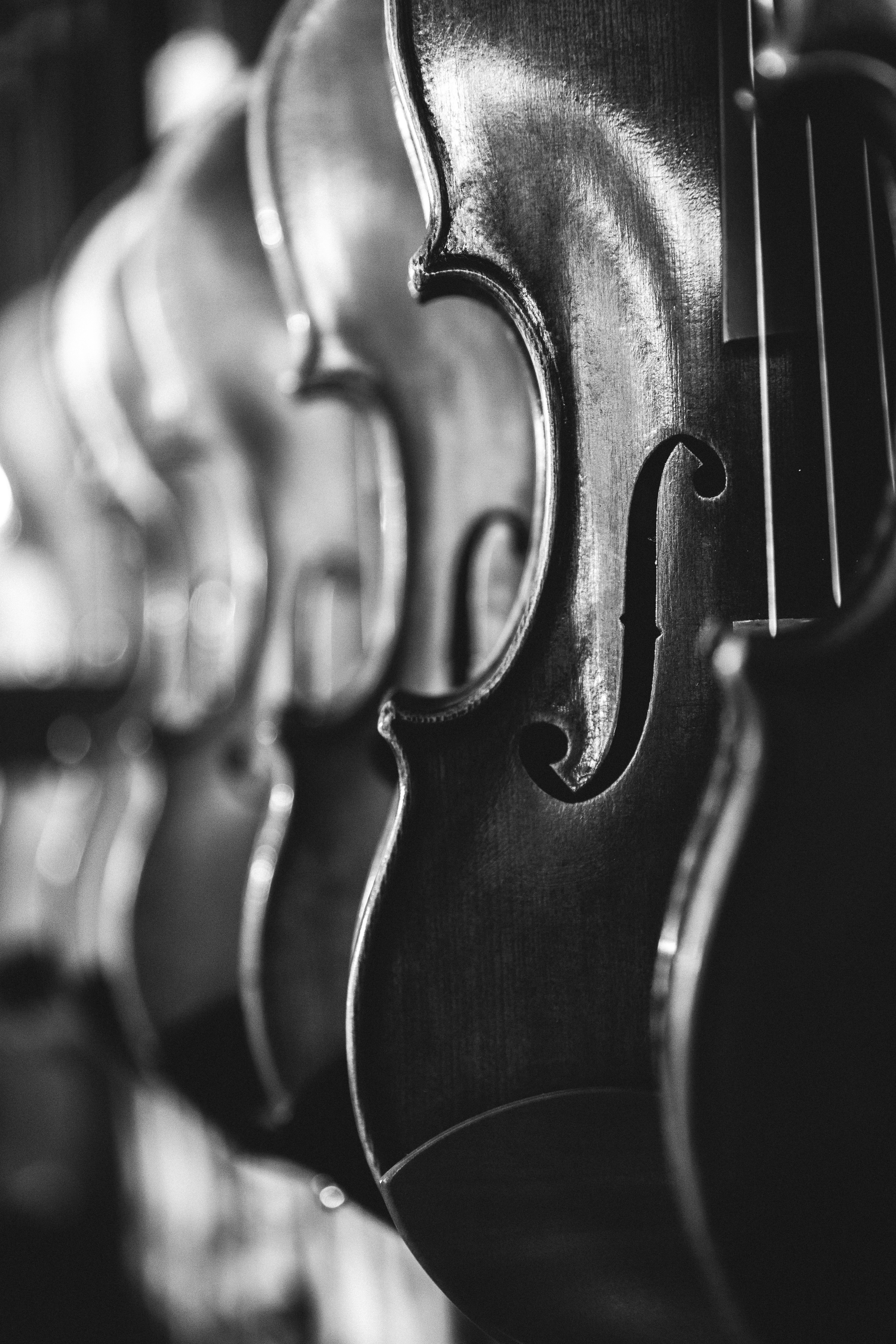 Wallpaper / string black and white violin and music HD 4k wallpaper free download