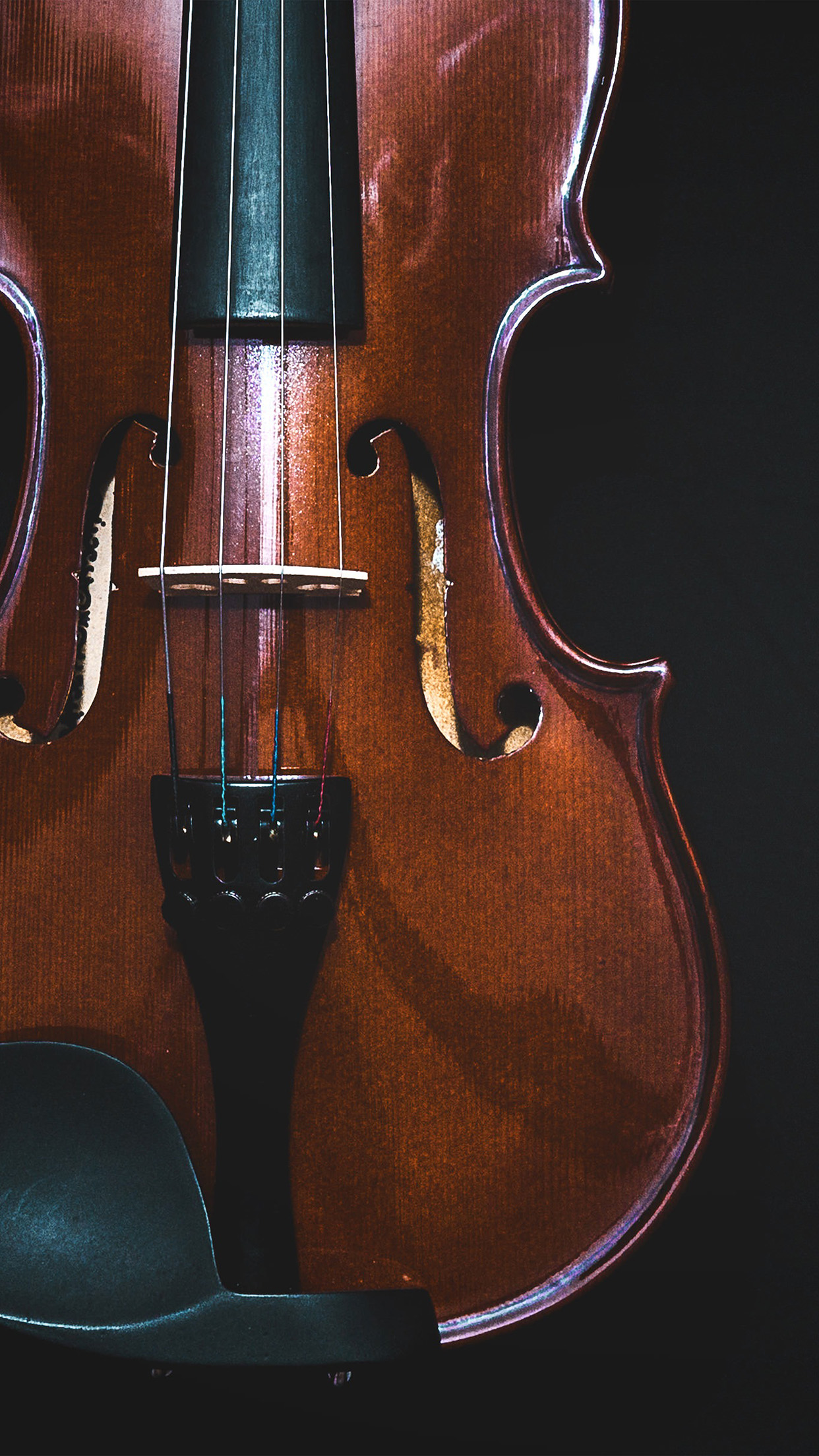 wallpaper. violin dark instrument