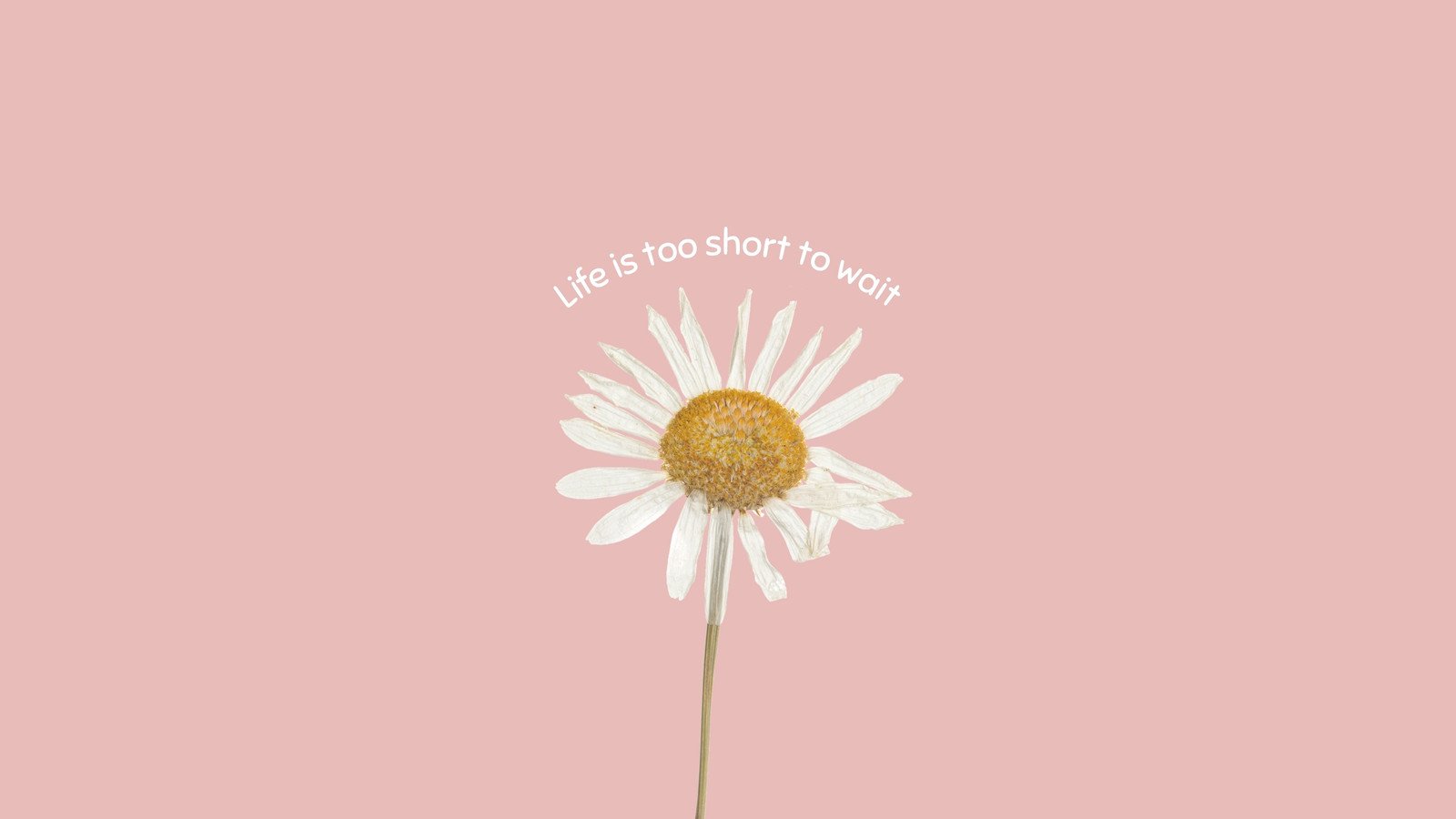 Encouraging Words Wallpapers Wallpaper Cave