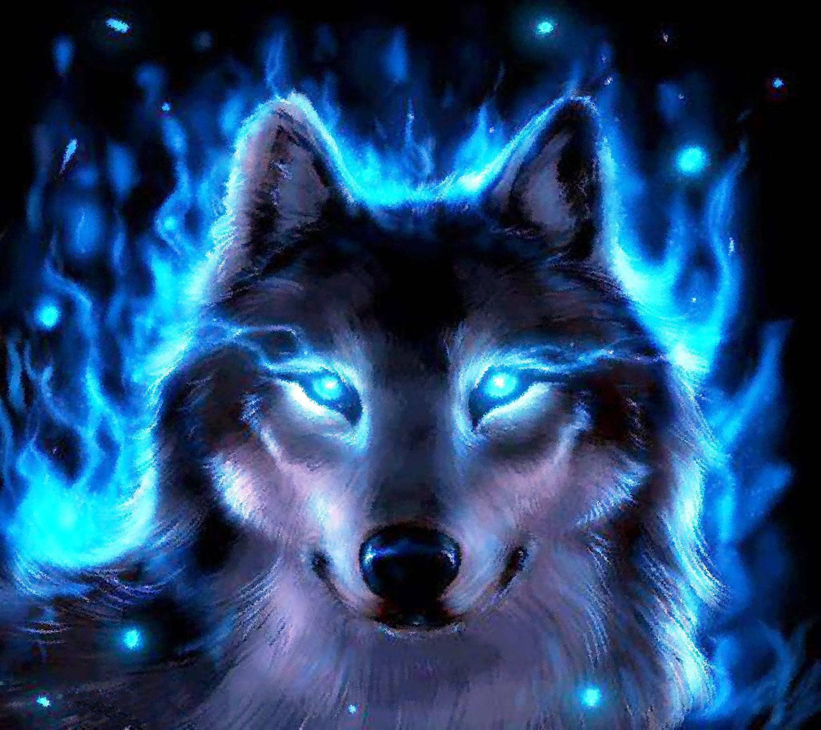 Download Anime Wolf Blue Aura Wallpaper