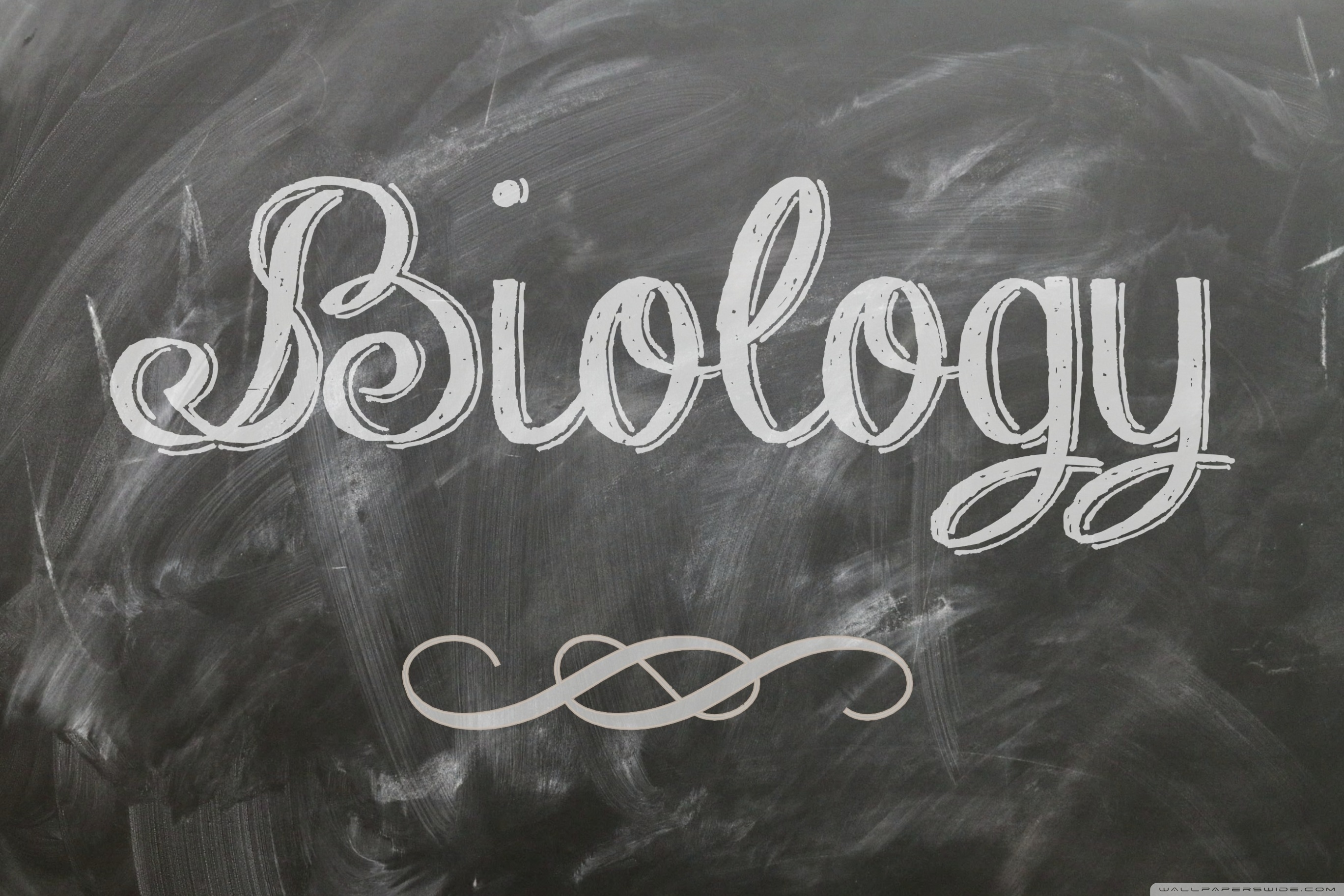 Biology Ultra HD Desktop Background Wallpaper for 4K UHD TV, Widescreen & UltraWide Desktop & Laptop, Multi Display, Dual Monitor, Tablet