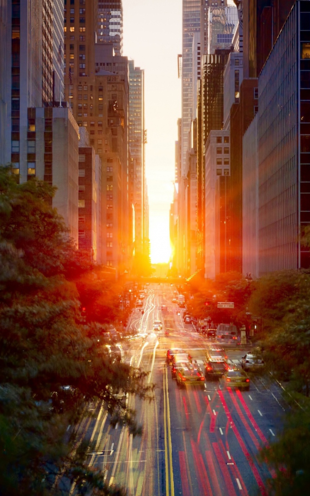 Sun Exposure Through City Free HD Mobile Wallpaper