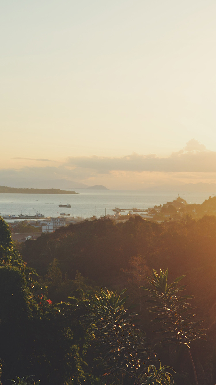 Afternoon Port Sunny City Nature Wallpaper