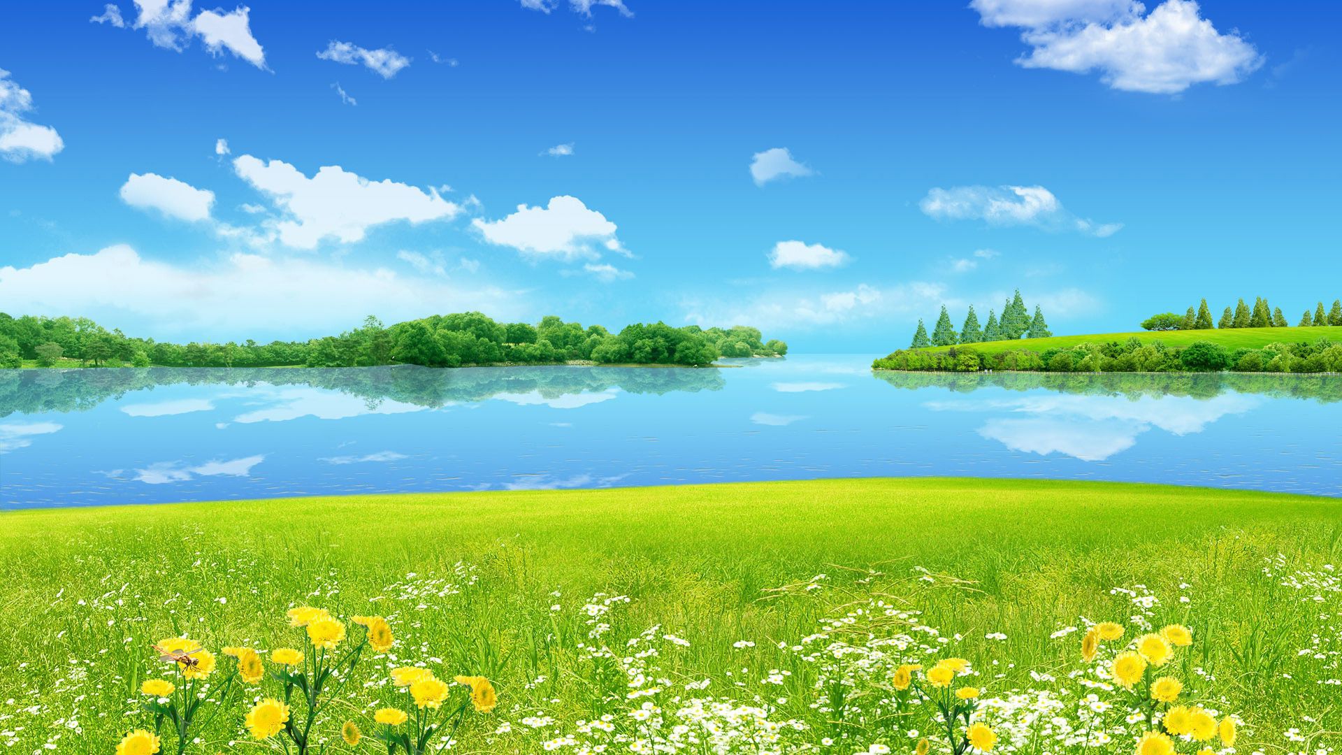 Sunny Nature Wallpaper