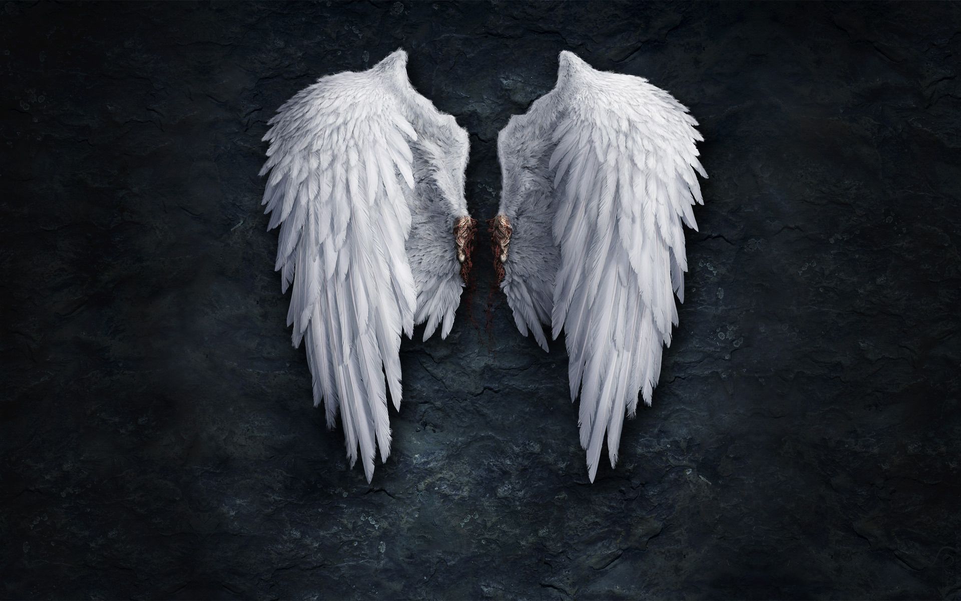 Wings Wallpaper