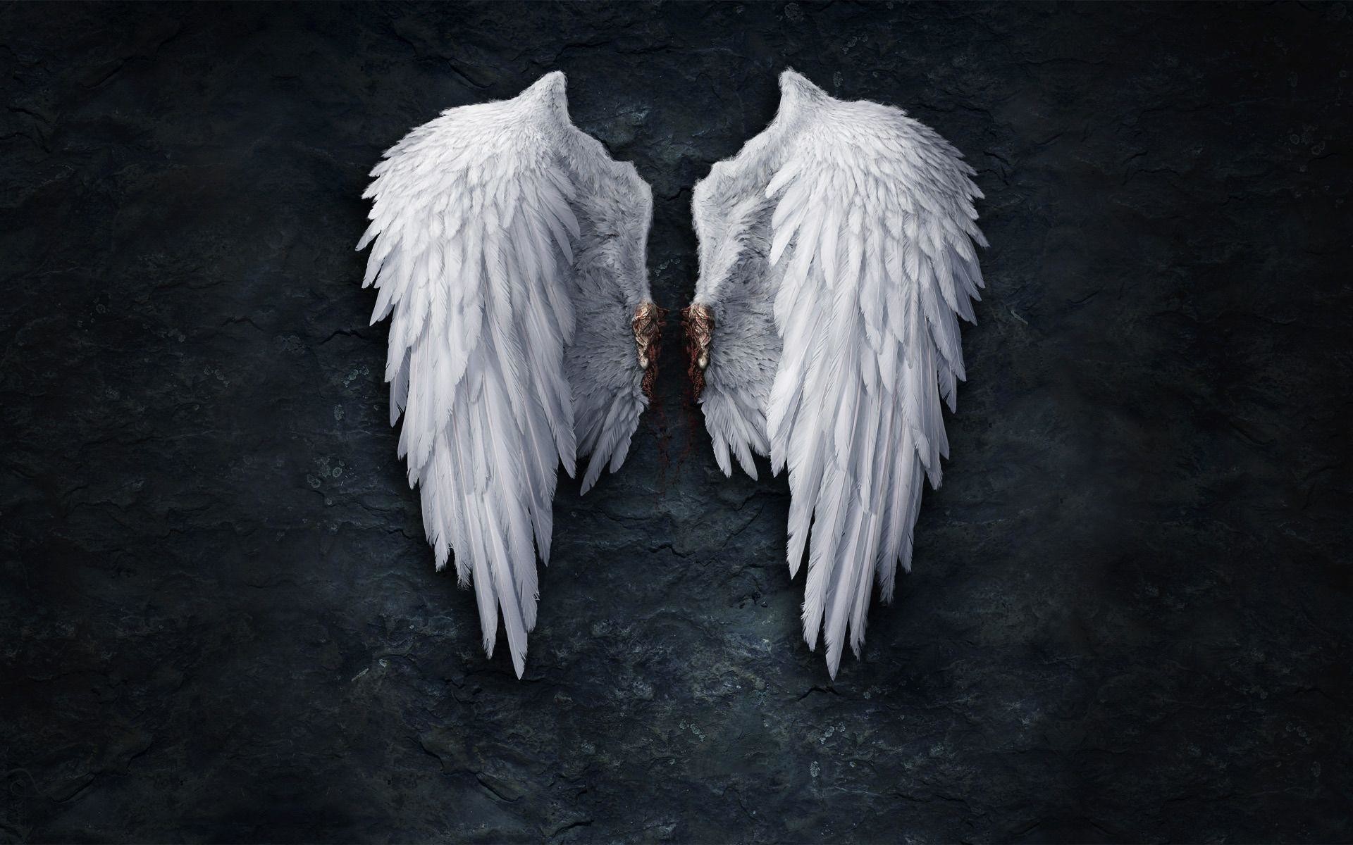 Angel Wings Wallpaper
