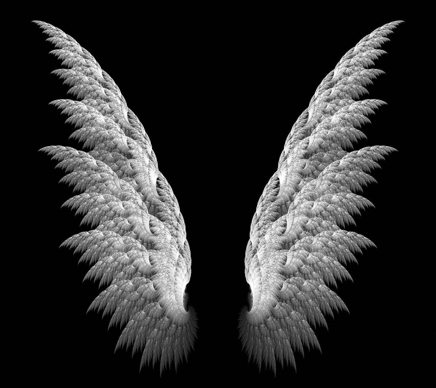 Wings Wallpaper