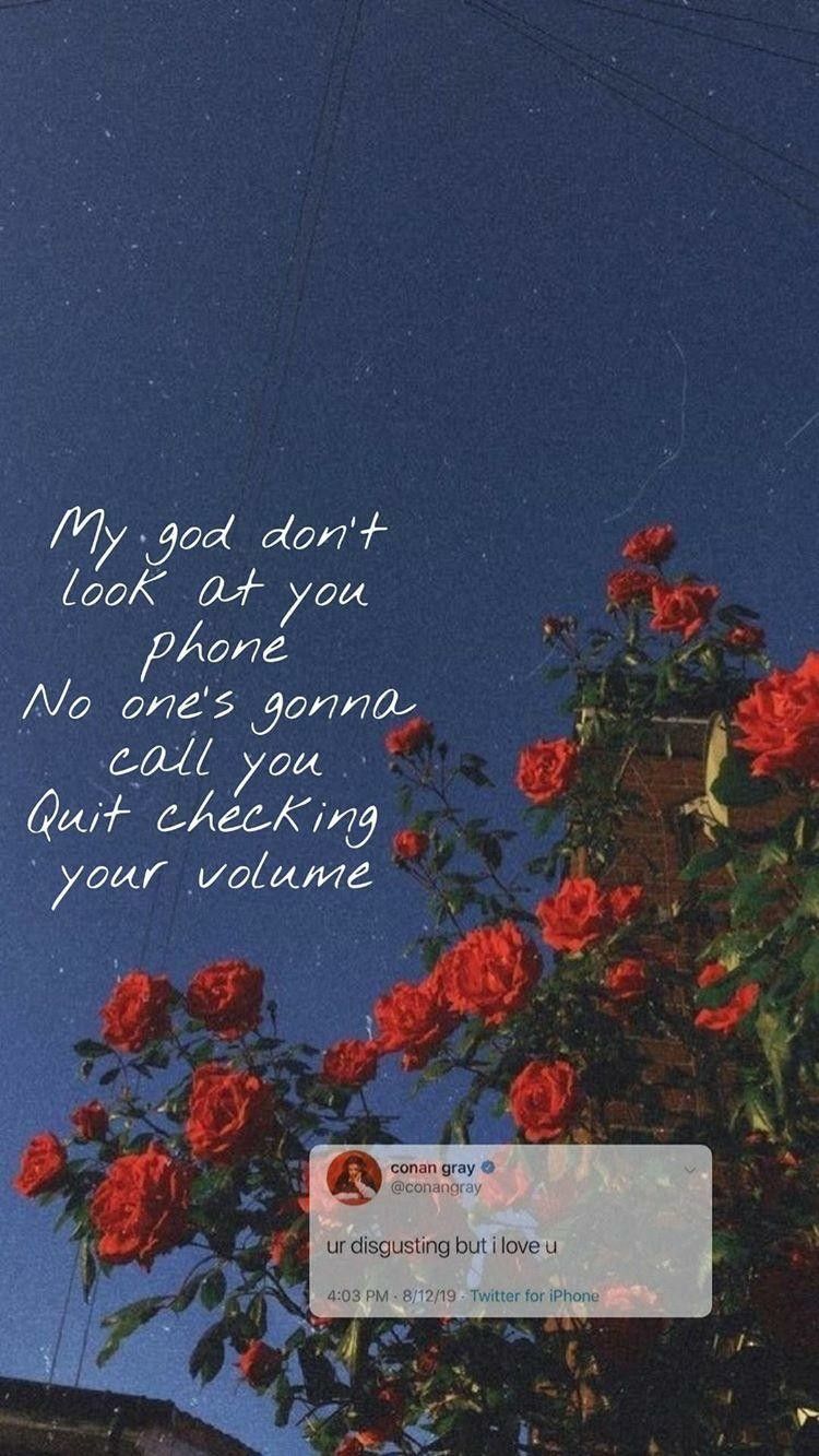 Conan Gray Crush Culture Wallpaper. Conan gray, Conan, Conan gray aesthetic