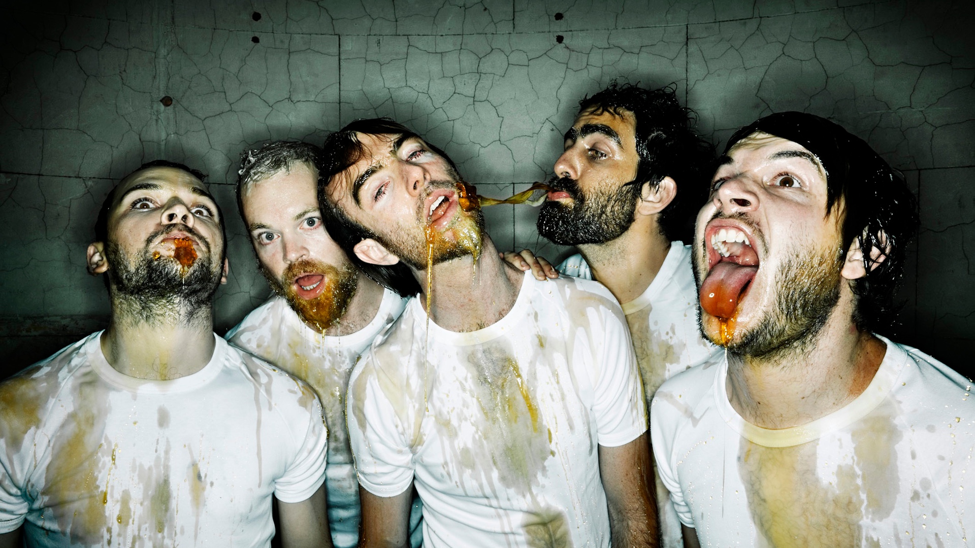 Karnivool