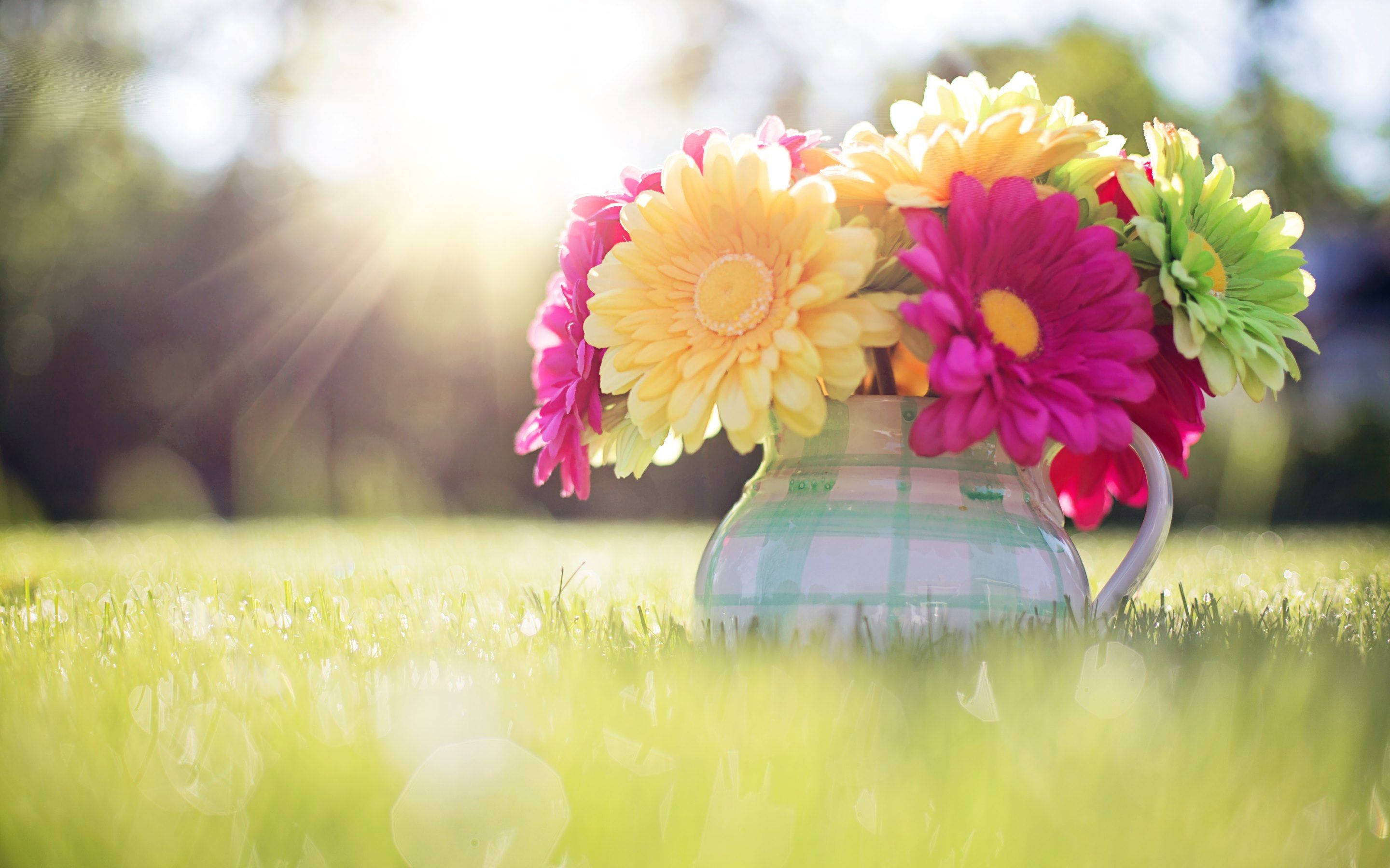 Download Spring Flowers In Vase Wallpaper
