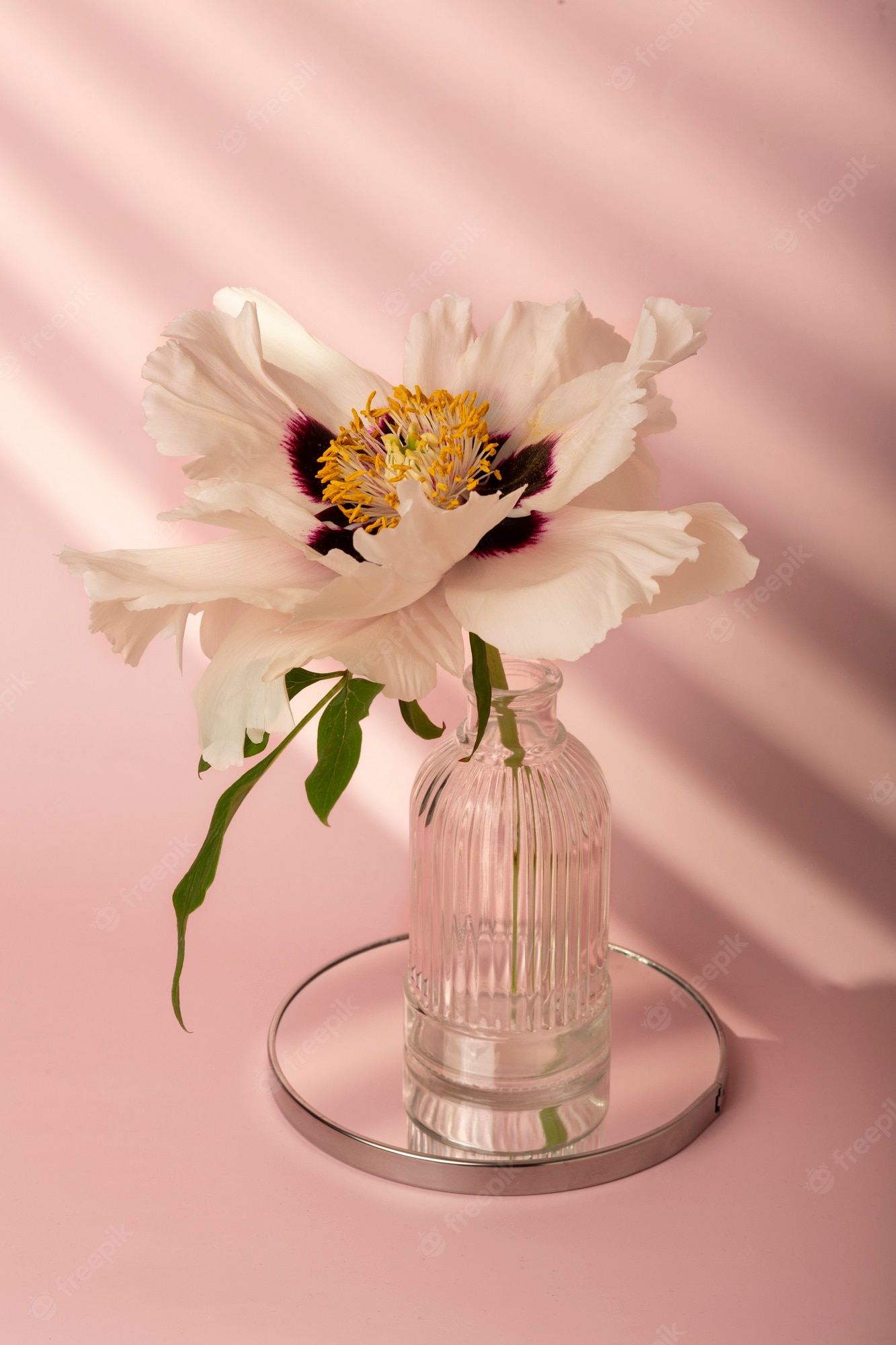 Spring Flower Vase Wallpapers - Wallpaper Cave