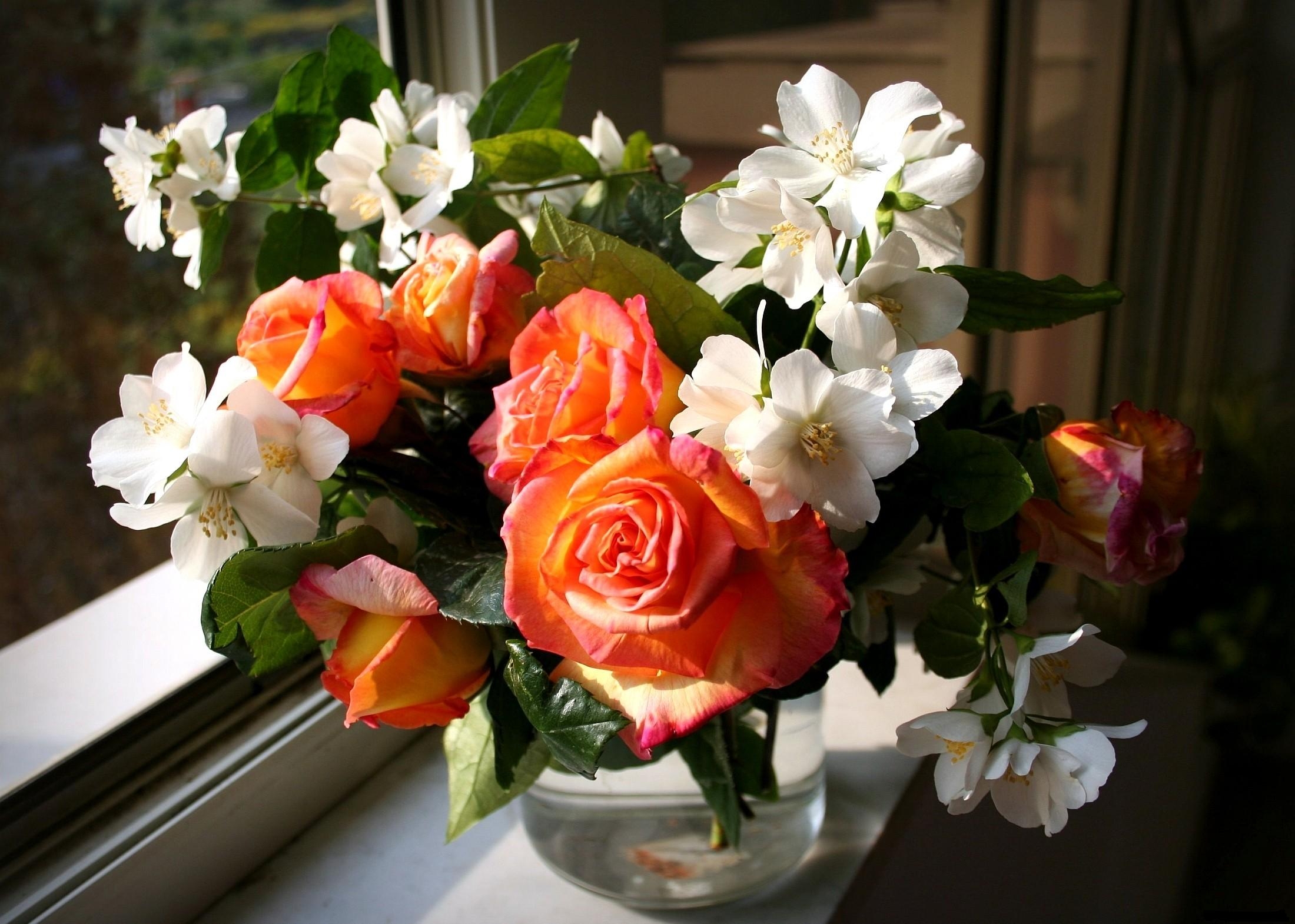 Wallpaper, roses, flowers, Jasmine, spring, flower, vase, window 2200x1570