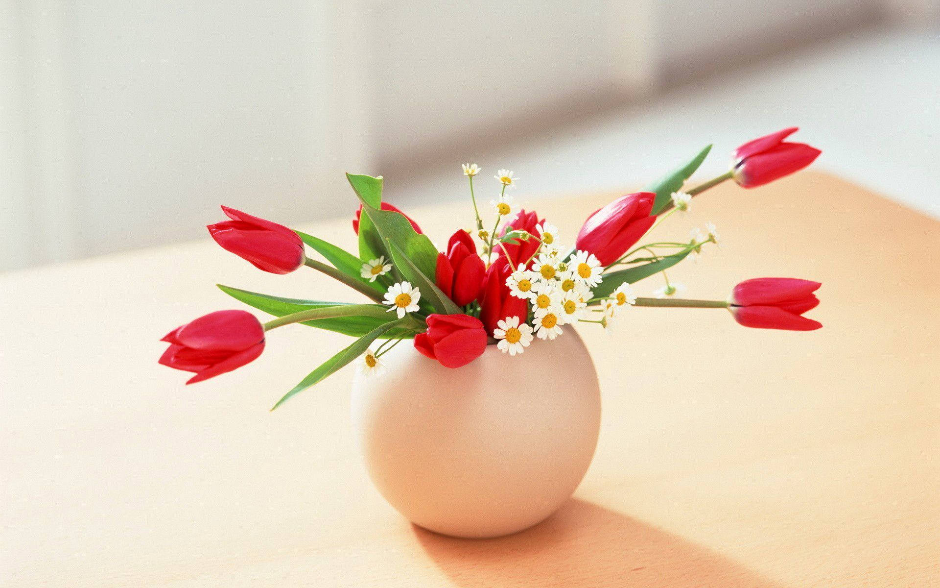 Download Bent Red Tulips In A Flower Vase Wallpaper