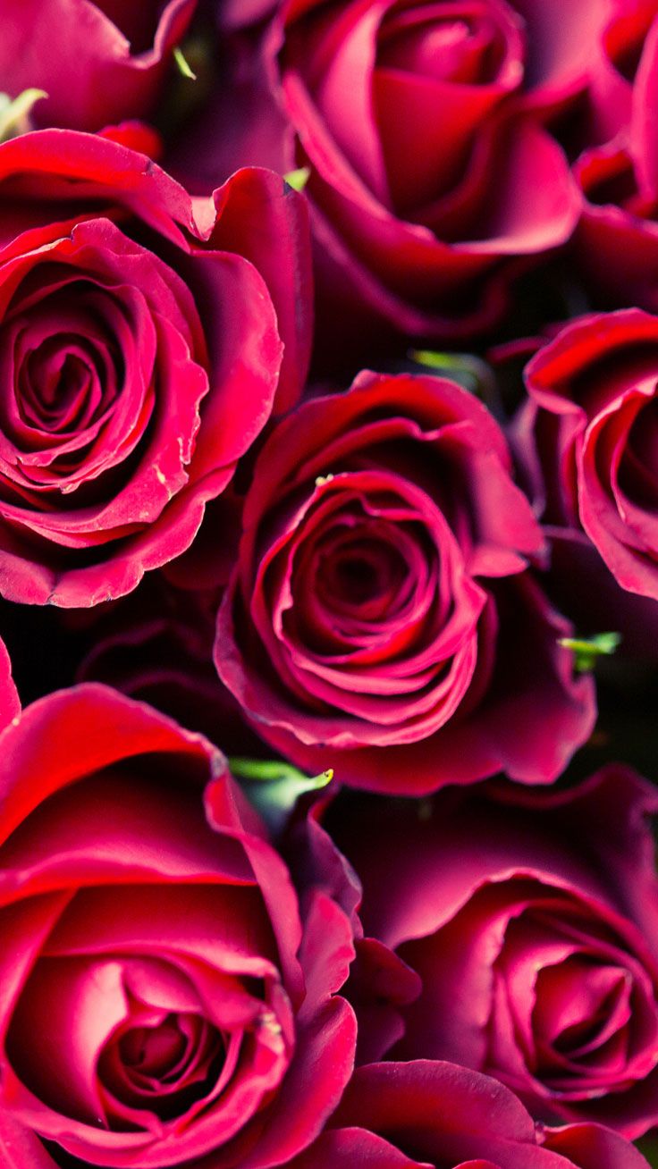 Cute Valentine iPhone Wallpapers - Wallpaper Cave