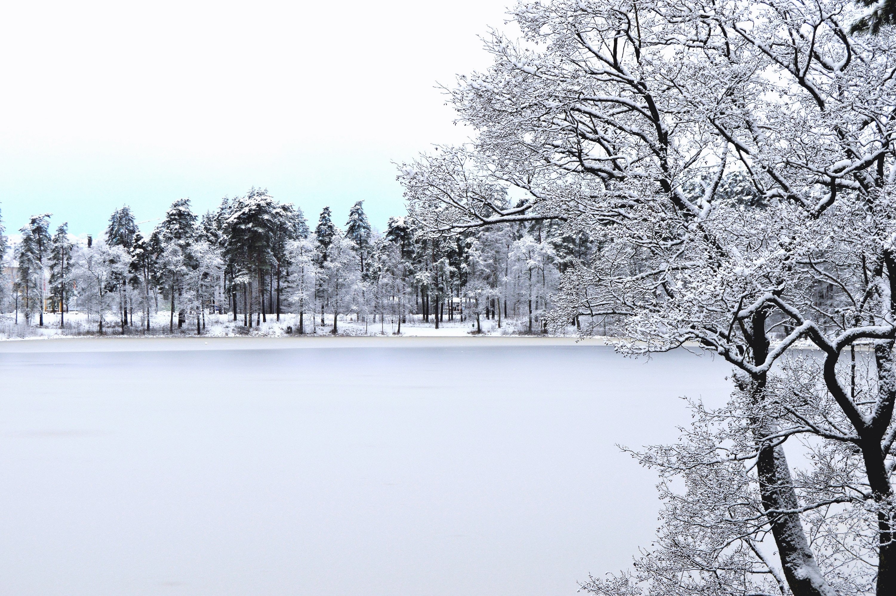 Winter Scenes Photo, Download Free Winter Scenes & HD Image