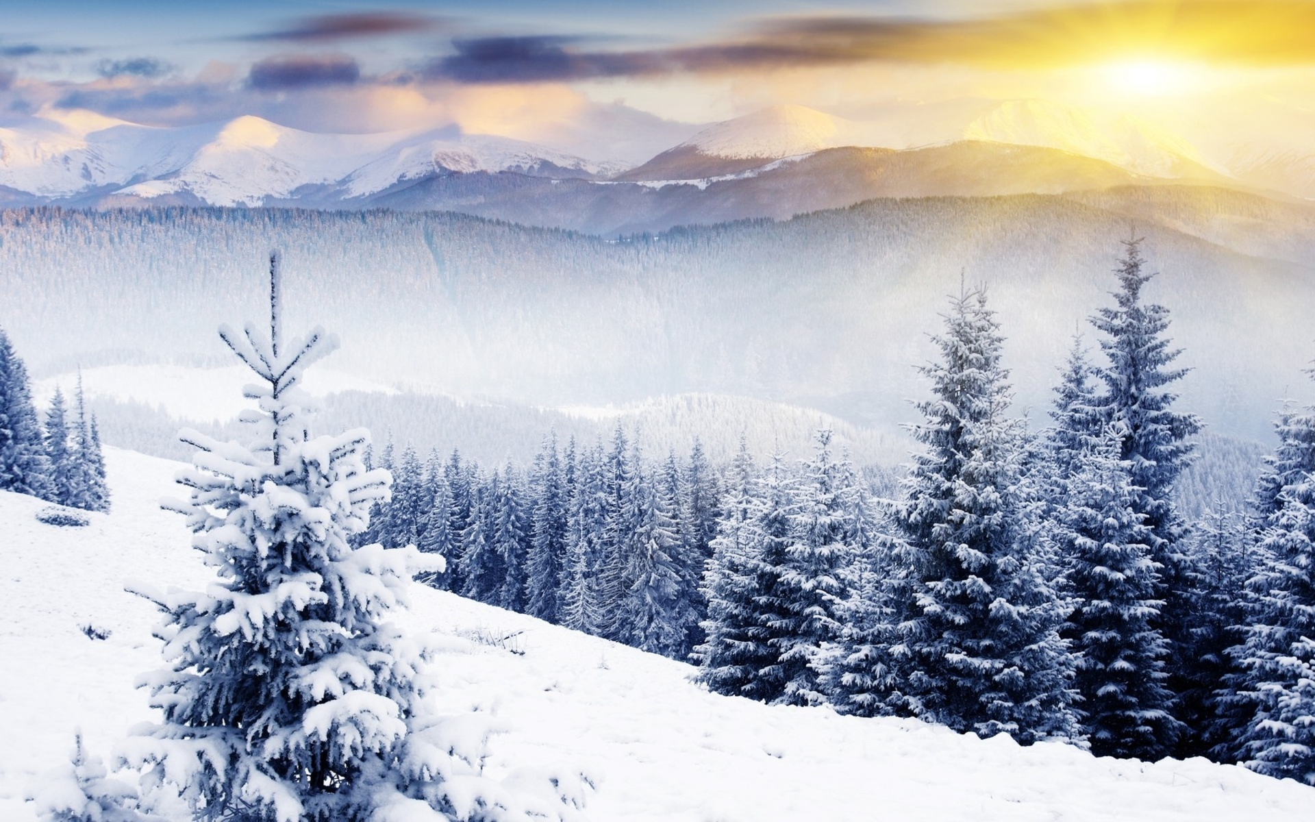 Winter Scenes Wallpaper and Background 4K, HD, Dual Screen
