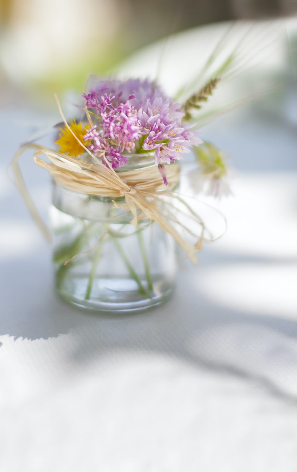 purple petaled flower with vase selective focus photography photo