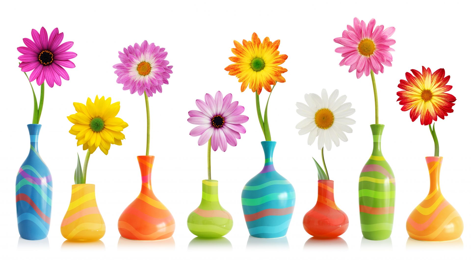 Desktop Wallpaper Flowers, Colorful, Vase, HD Image, Picture, Background, Dcctt6