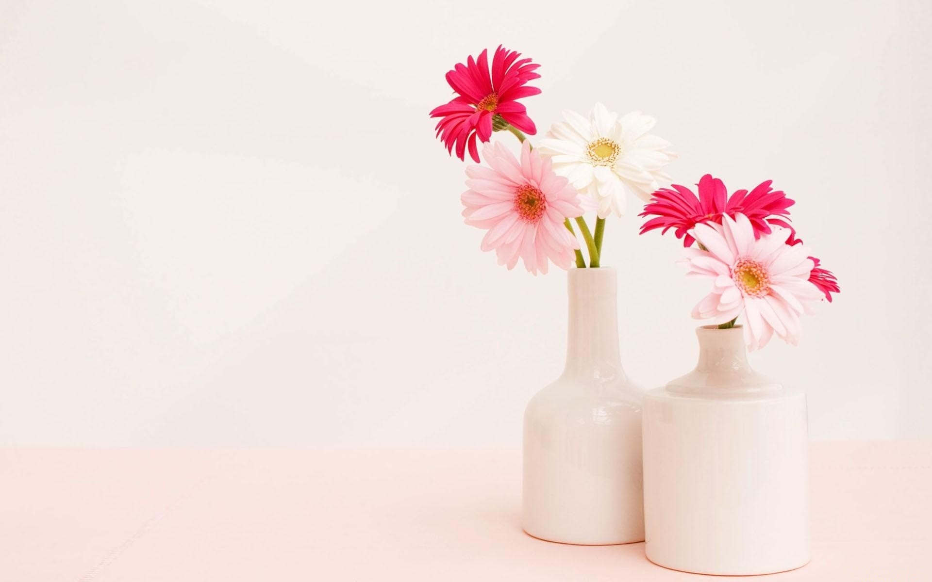 gerbera, Flower, Vase, White, Light, Still, Life Wallpaper HD / Desktop and Mobile Background