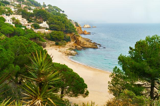 Premium Photo. Panorama of rocks on the coast of lloret de mar set in the gorgeous rugged costa brava north of barcelona catalonia spain beautiful cool fog winter daycopy space wallpaper