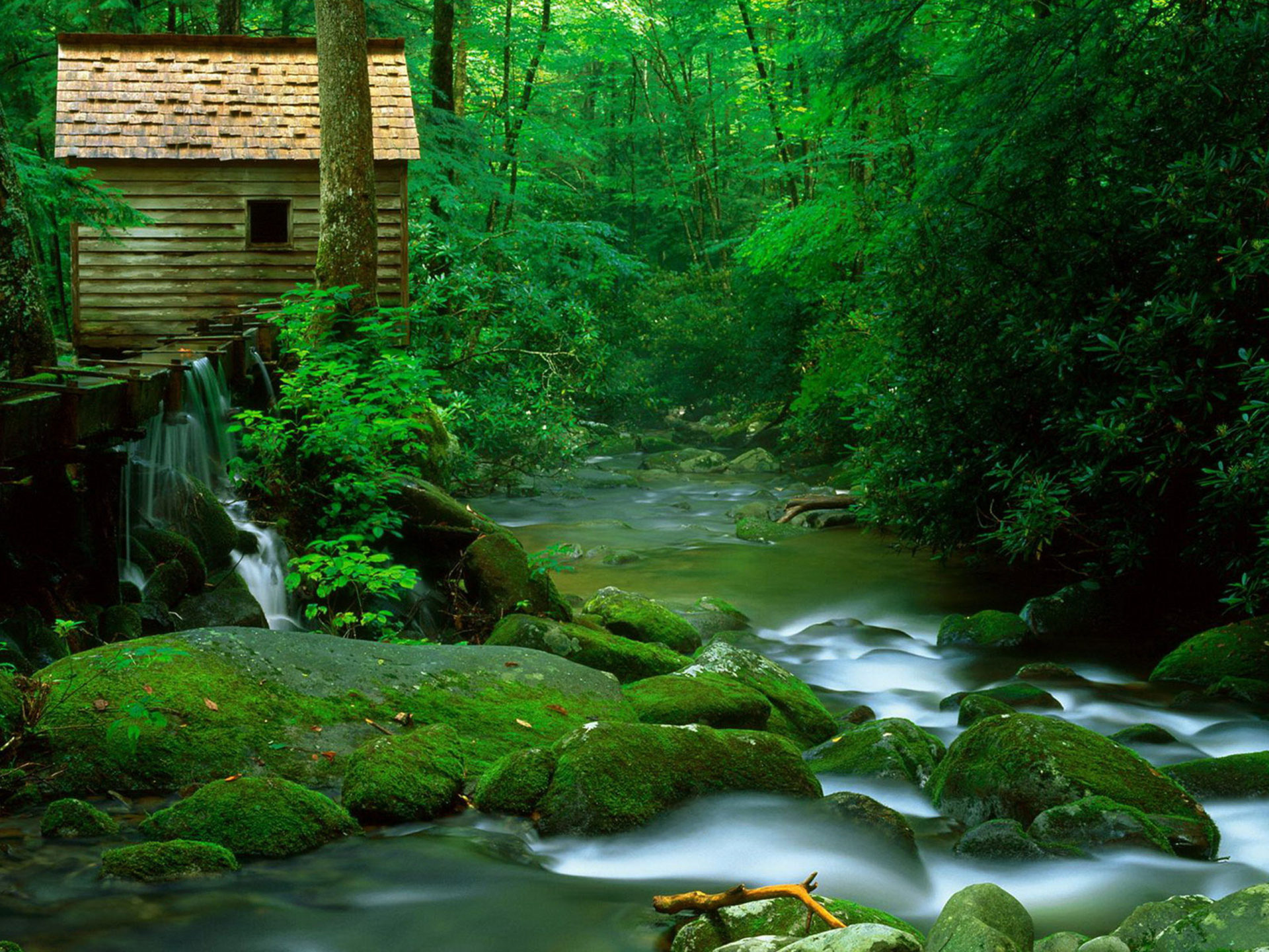 Beauties Of Nature Wooden Water Mountain River With Clear Water Rocks Covered With Green Moss Thick Green Forest With Trees Desktop HD Wallpaper 3840x2400, Wallpaper13.com