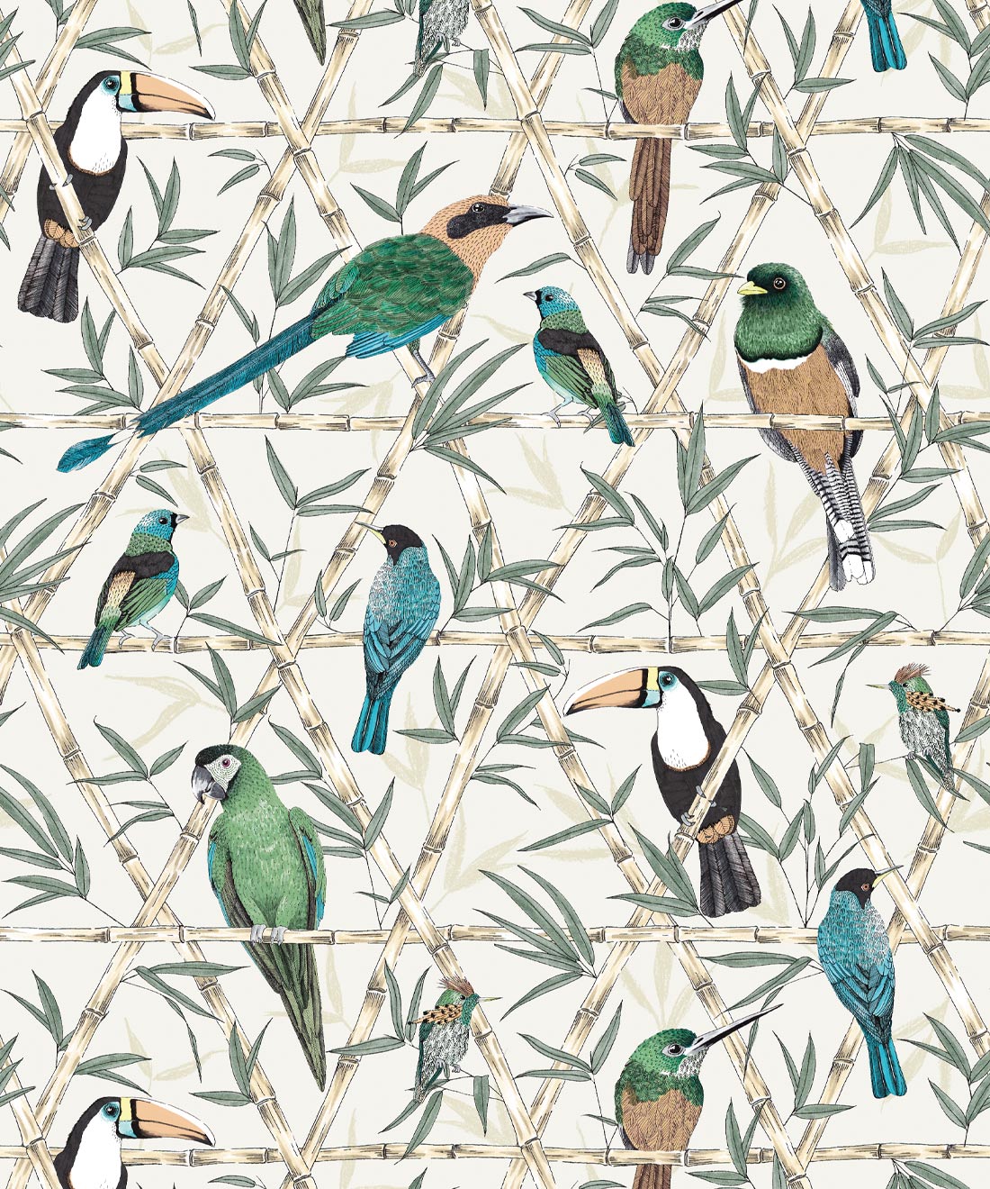 Bamboo Bird Wallpaper • Birds on Bamboo