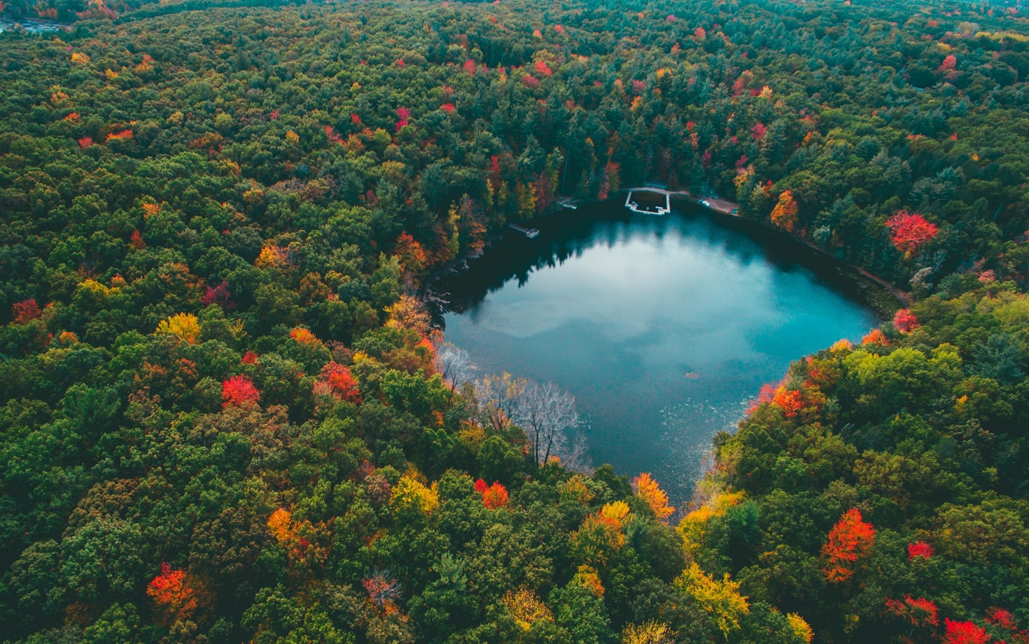 landscape, Nature, Forest, Lake, Colorful, Fall, Trees, Water, Blue, Red, Yellow, Green, Aerial View Wallpaper HD / Desktop and Mobile Background