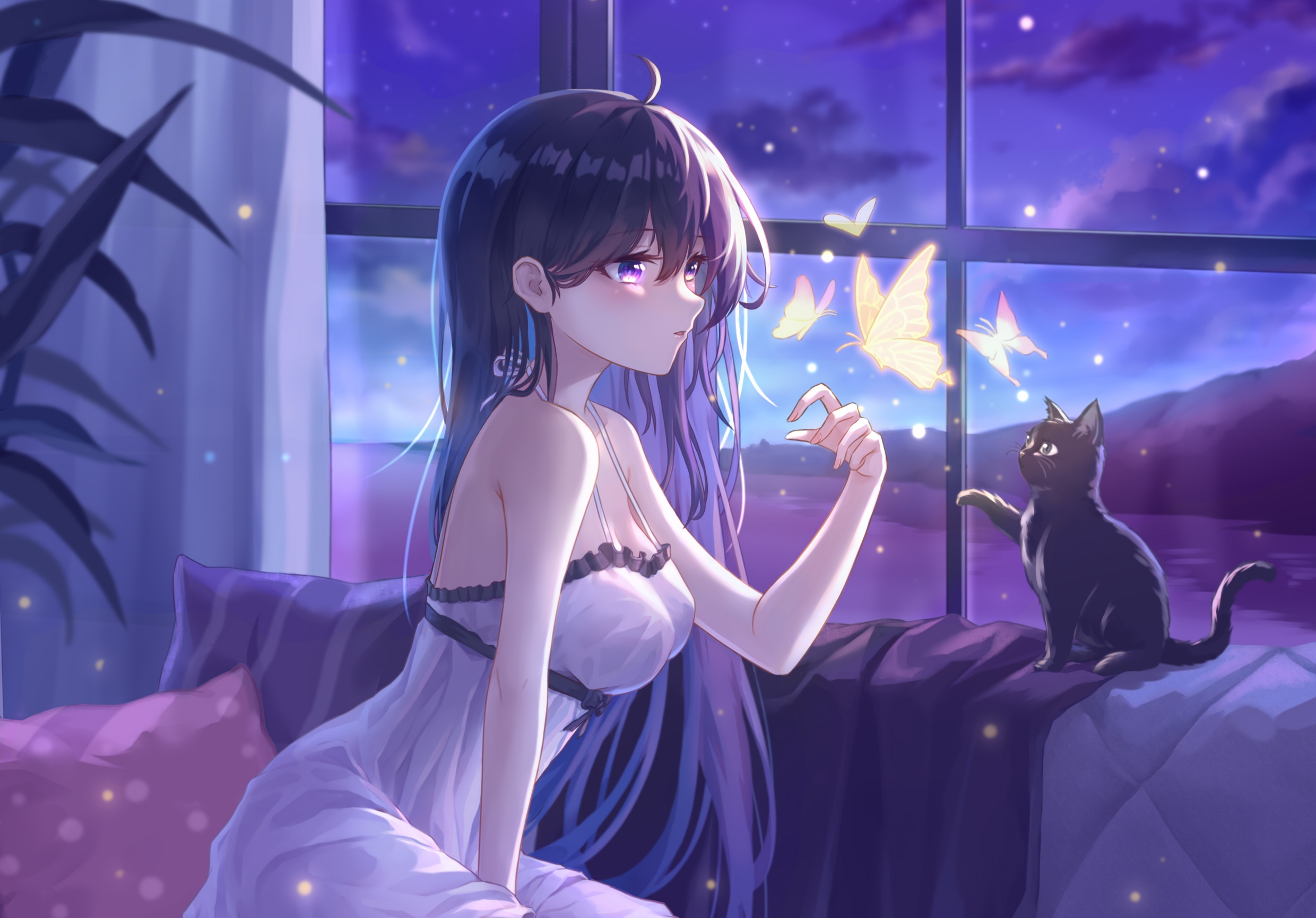 Anime Anime Girls Original Characters Black Cats Butterfly Night Cats Wallpaper:2480x1730