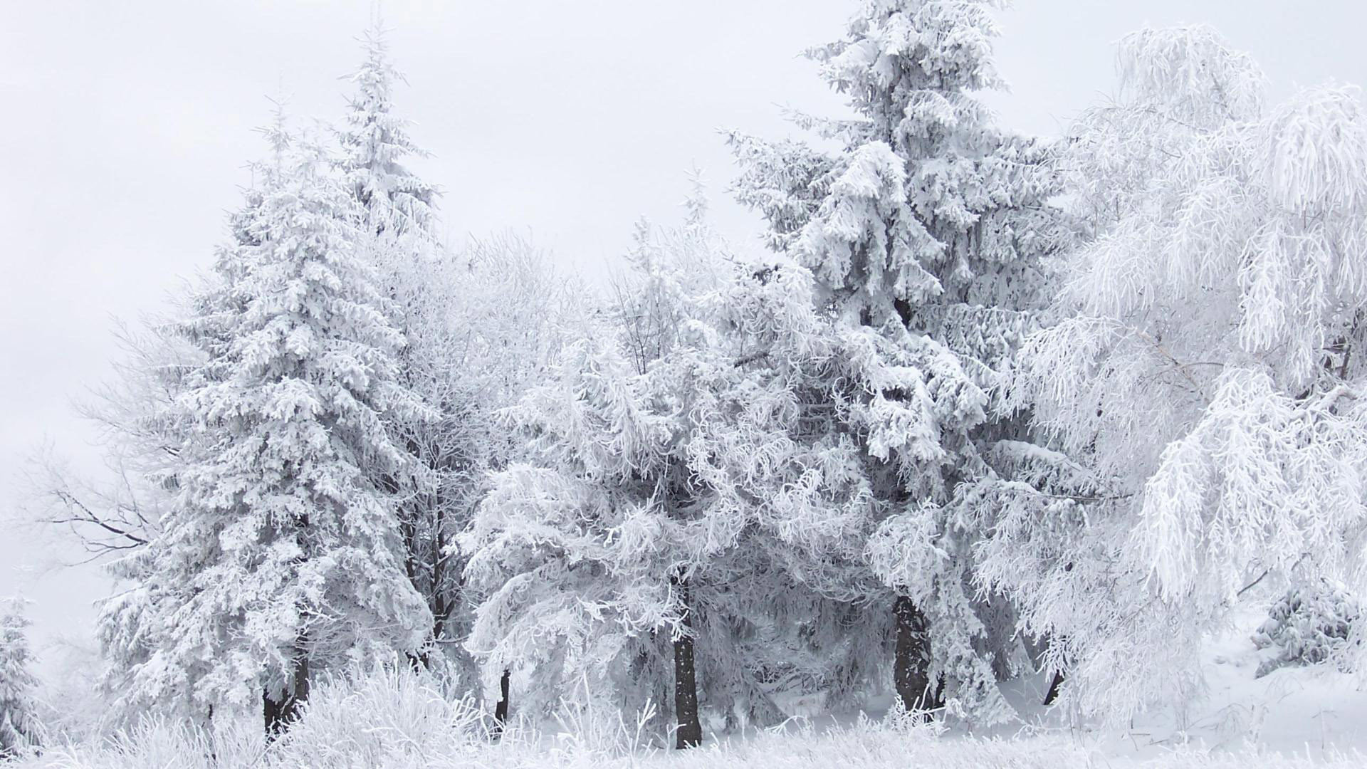 Snow Winter Fantasy Mac HD Wallpaper January Mac Background. Nature