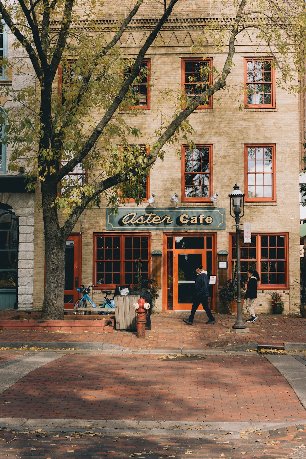 Cozy Cafe Picture. Download Free Image