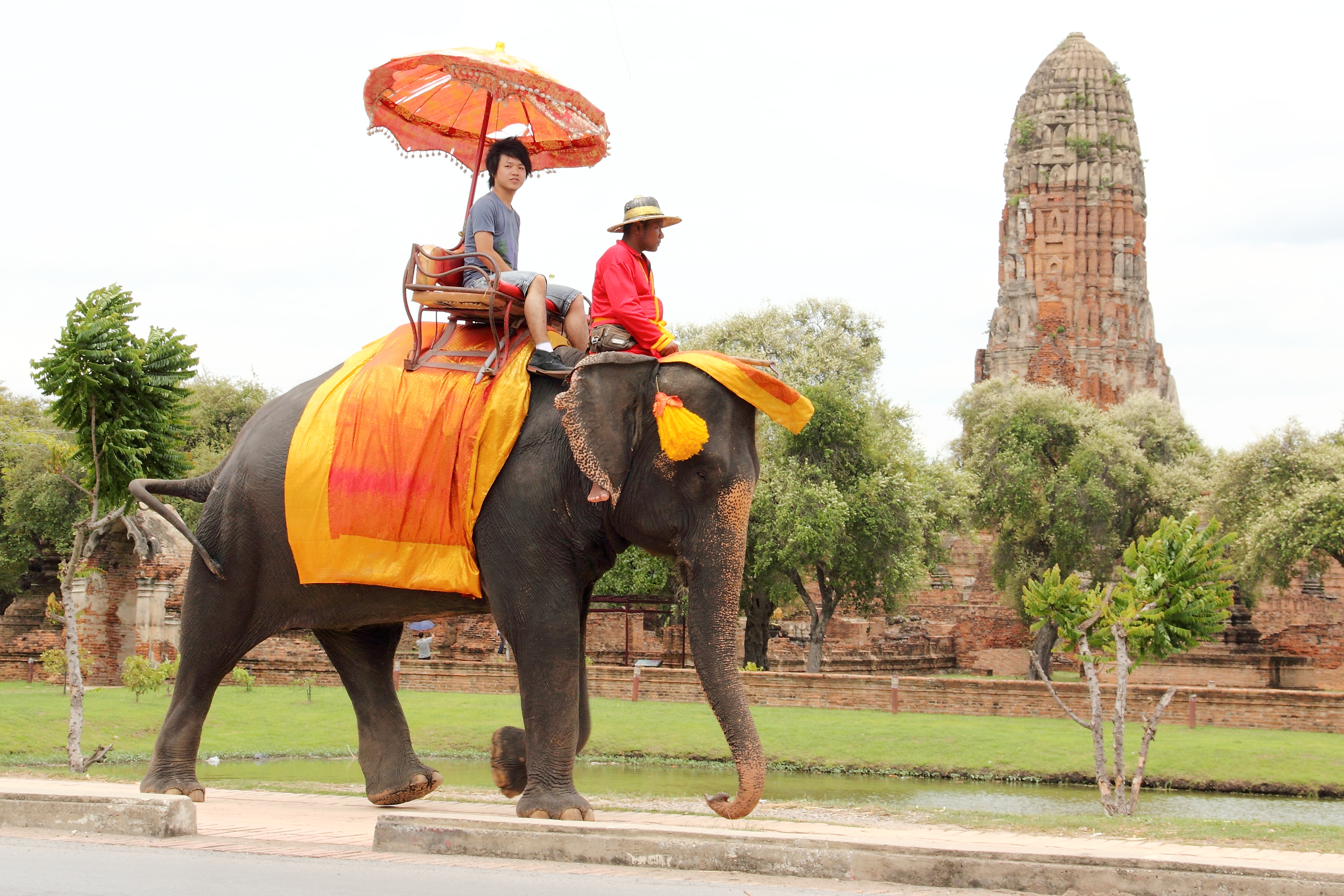 Wallpaper, elephant, Thailand, temple, ride, ayutthaya 3927x2618