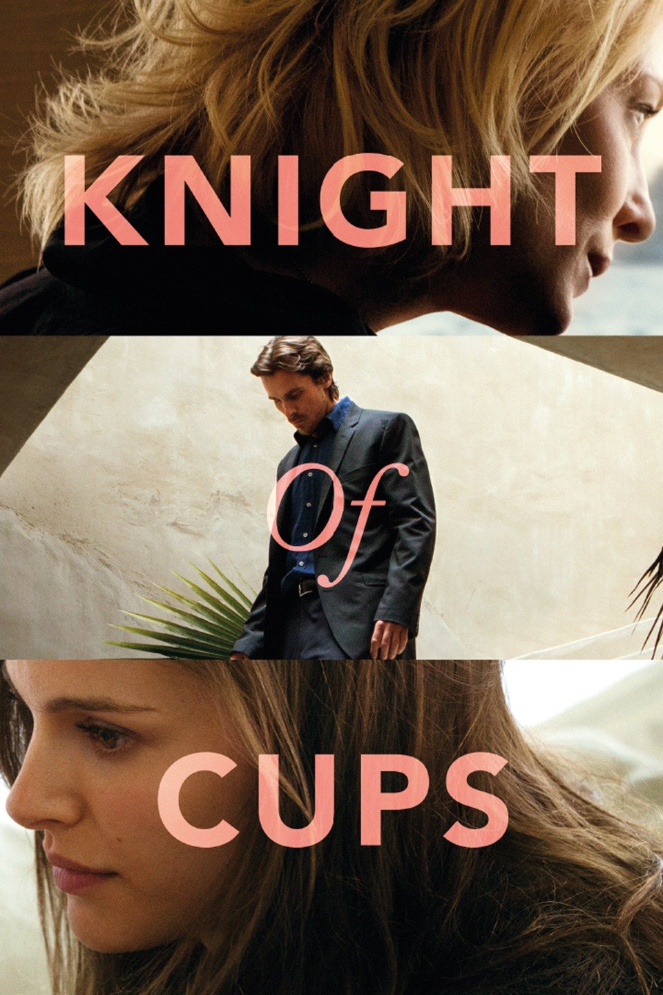 Knight of Cups