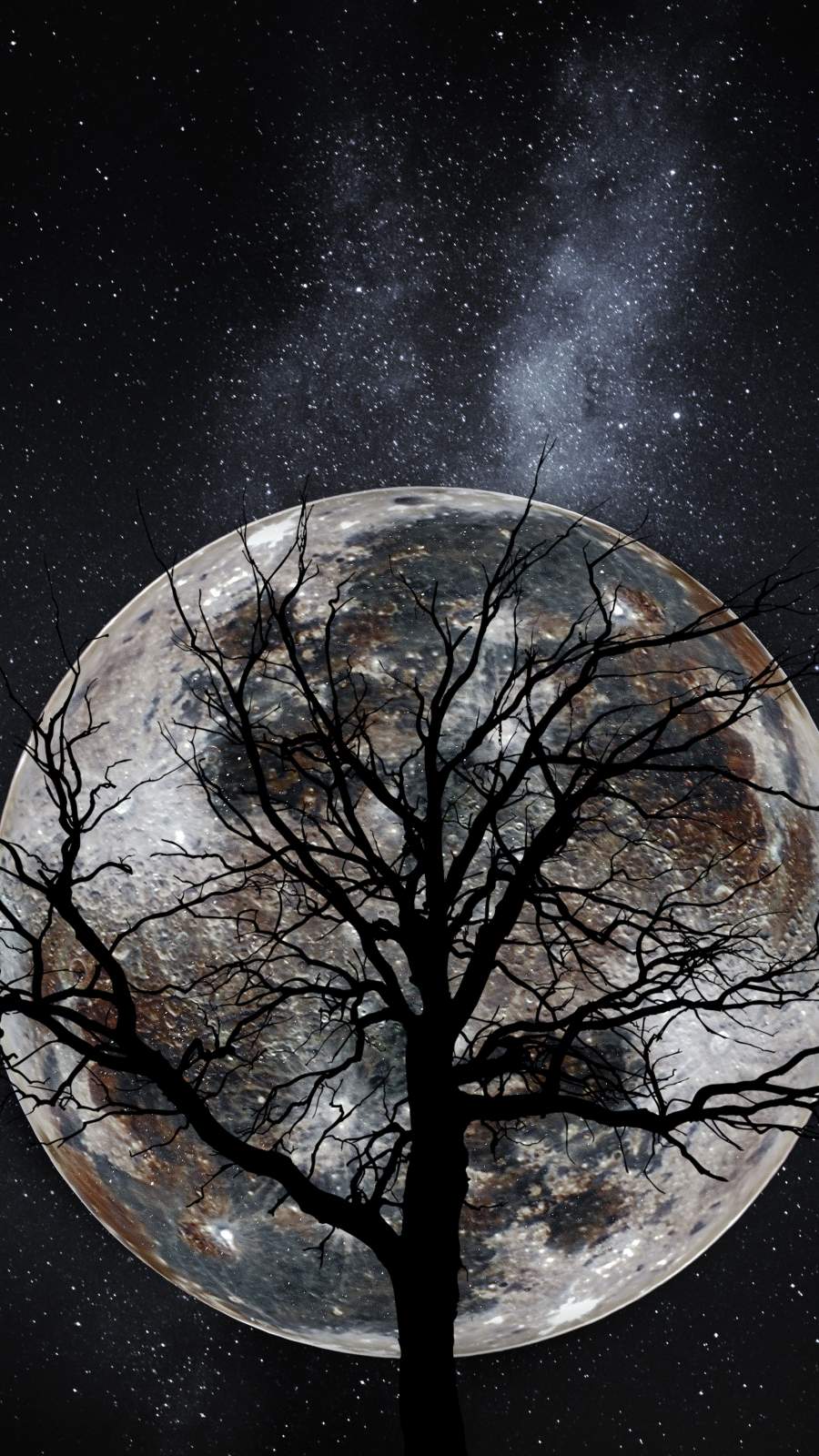 Moon Tree IPhone Wallpaper Wallpaper, iPhone Wallpaper