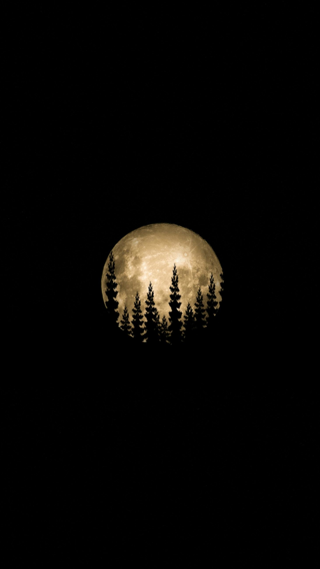 Download wallpaper 1080x1920 minimal, full moon, trees, 1080p wallpaper, samsung galaxy s s note, sony xperia z, z z z htc one, lenovo vibe, google pixel oneplus honor xiaomi