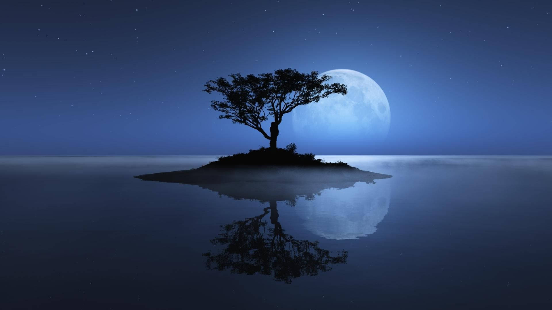 Download Natural Tree On Island During Full Moon Wallpaper