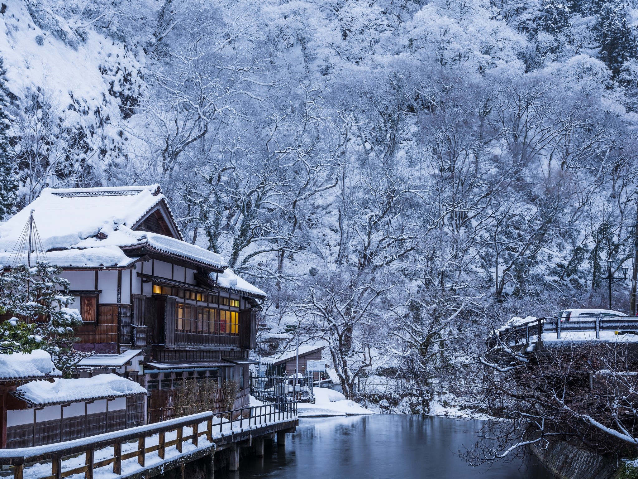 trees, Japan, winter, building, house, snow Gallery HD Wallpaper