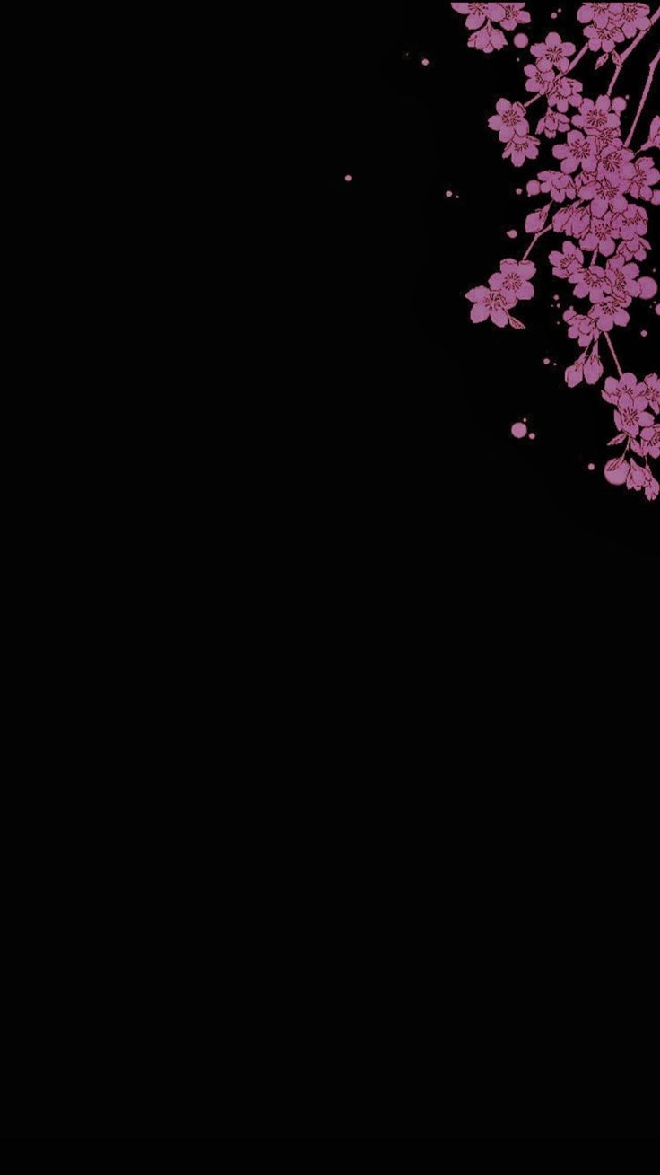sakura. Cherry blossom wallpaper, Cherry blossom wallpaper iphone, Sunflower. Black flowers wallpaper, Cherry blossom wallpaper iphone, Cherry blossom wallpaper