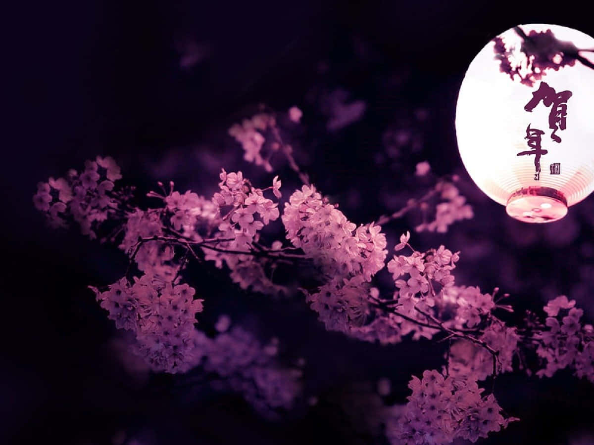 Download Dark Cherry Blossom Wallpaper