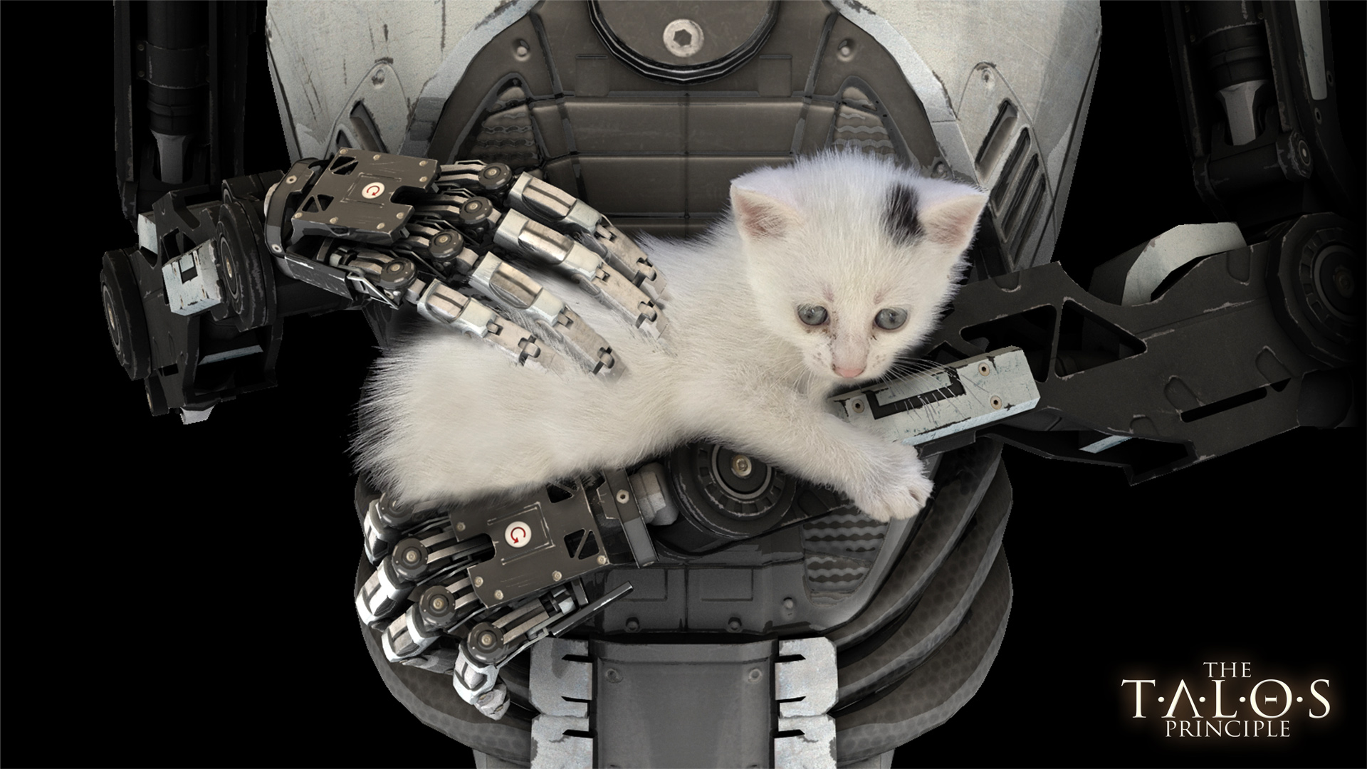 Wallpaper, The Talos Principle, cat, robot 1920x1080