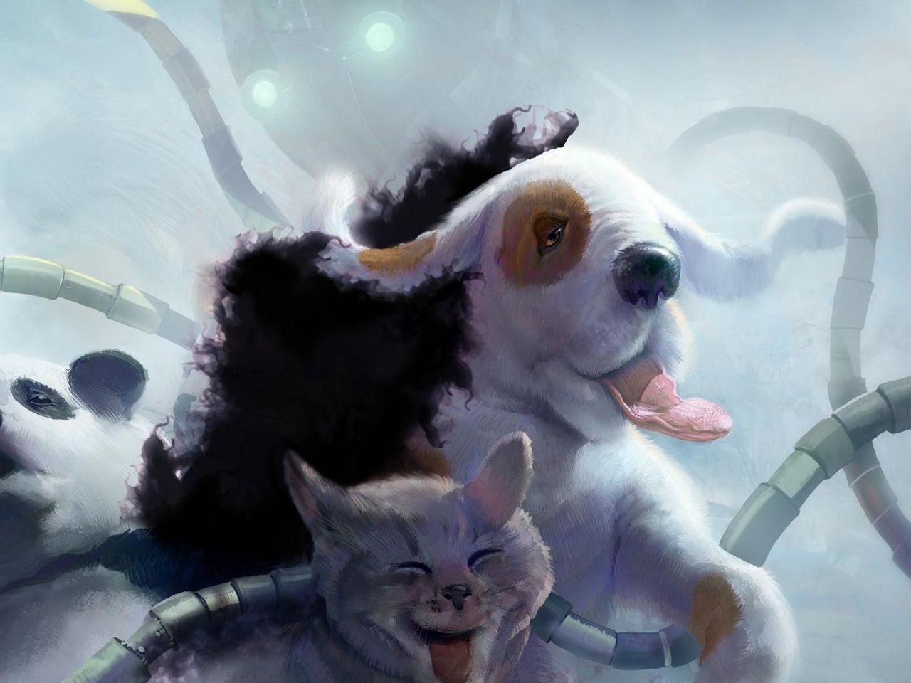 Download wallpaper 1280x960 panda, cat, dog, tentacles, robot, octopus standard 4:3 HD background