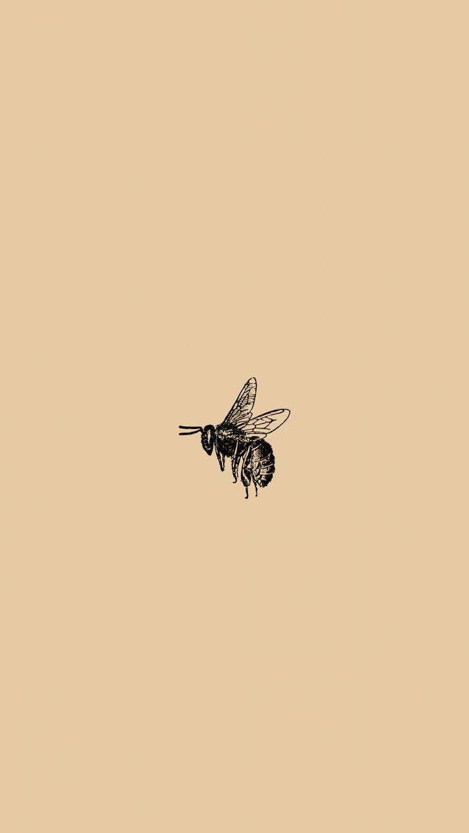 Wallpaper Bee Beige Minimal Instagram iphone. Spring wallpaper, Bee icon, Aesthetic iphone wallpaper