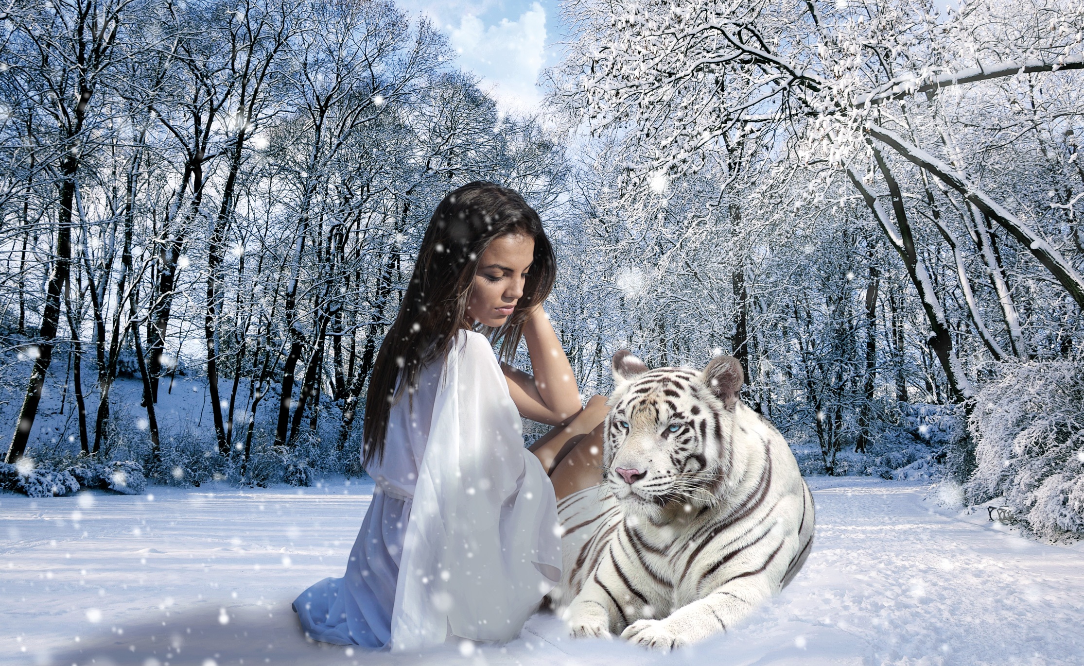 Free Image, nature, forest, snow, winter, woman, spring, weather, season, trees, background, tiger, look, wallpaper, plan, imagination, processing, feelings, freezing 2230x1371