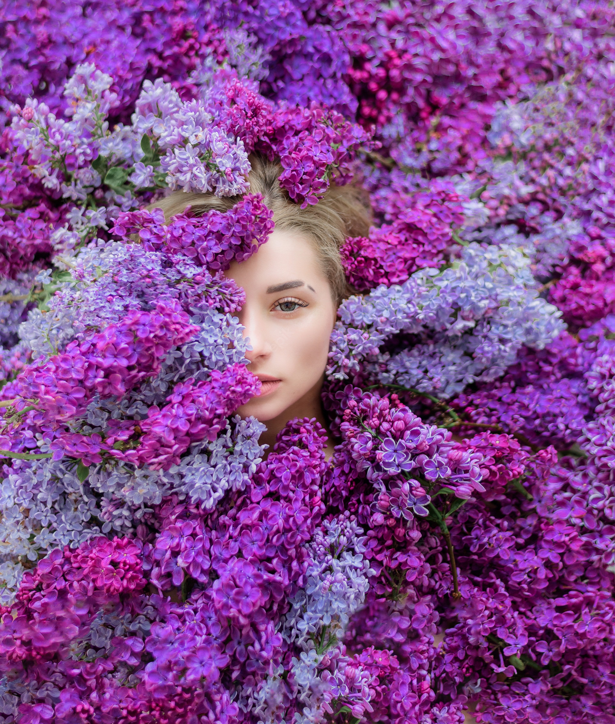 Free Photo. Half face of young caucasian blonde girl surrounded with lots of purple and violet lilac, wallpaper, spring melody