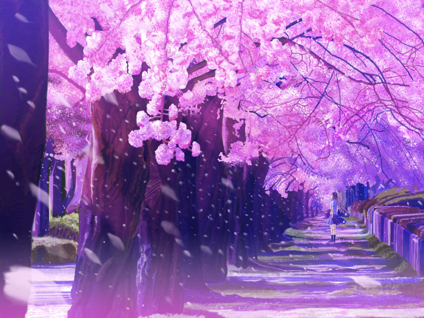 Anime spring girls road nature flowers widescreen pink wallpaperx1080