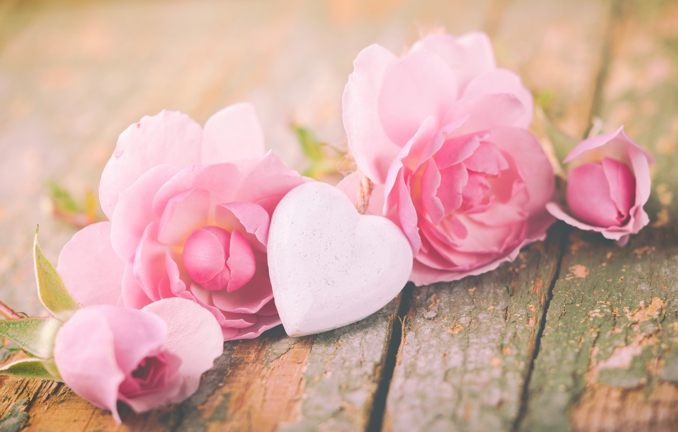 Pink Flowers Valentine Wallpapers - Wallpaper Cave