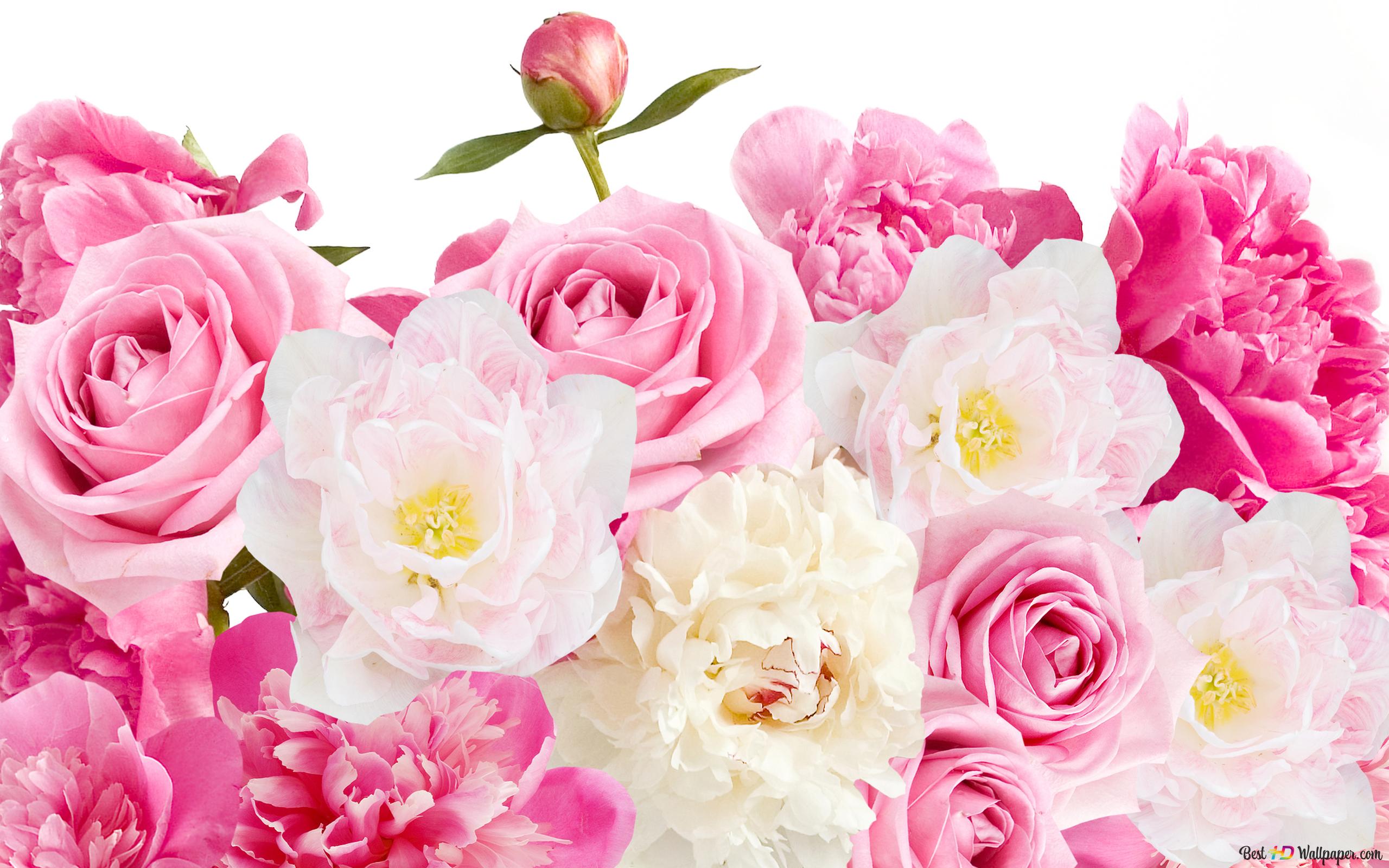 Pink Flowers Valentine Wallpapers - Wallpaper Cave